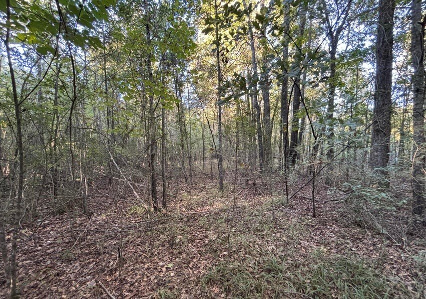 28 Acres for Sale South Jackson, Hinds County, MS