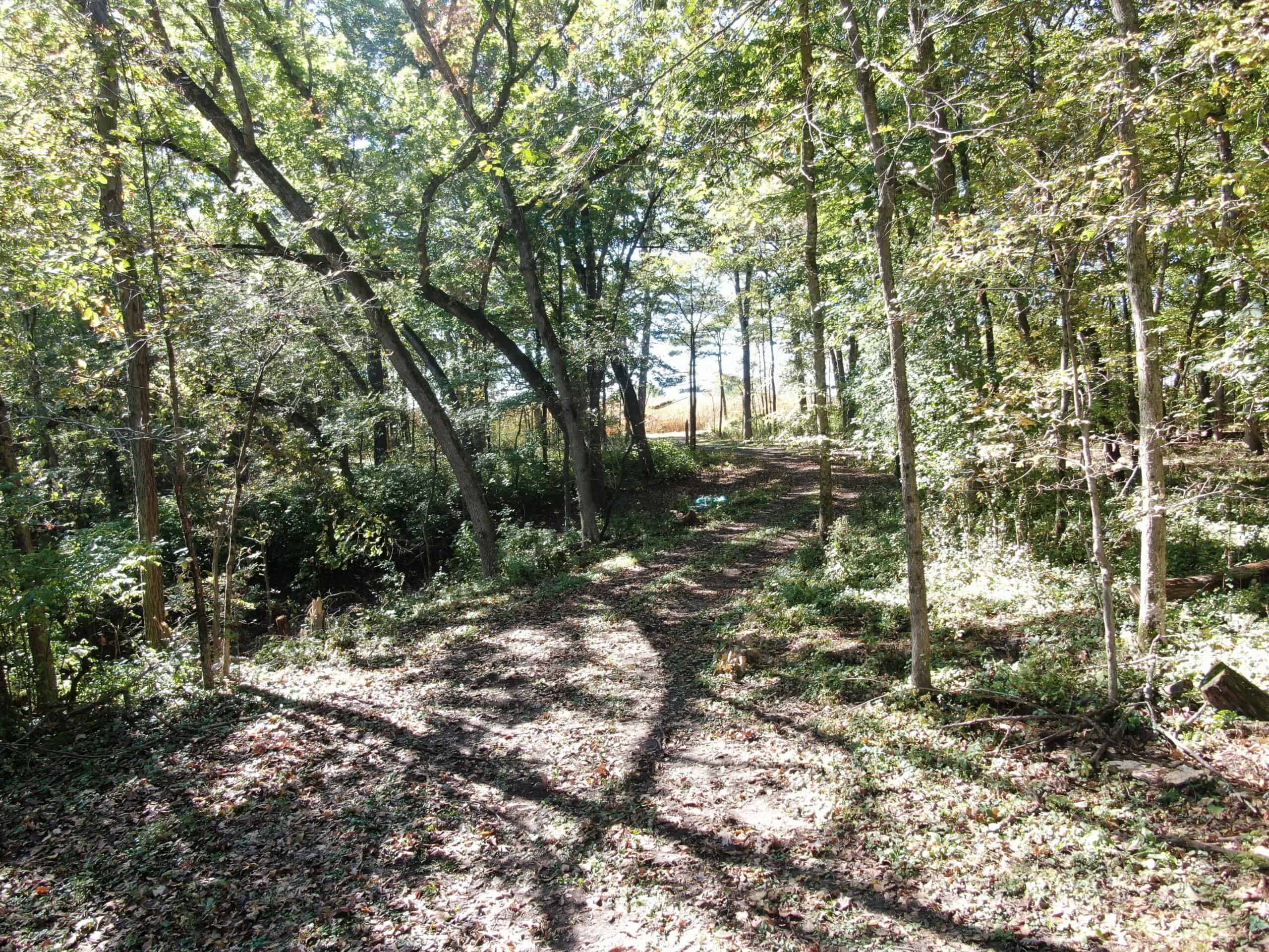 28± acre Sauk County Gem of a Property