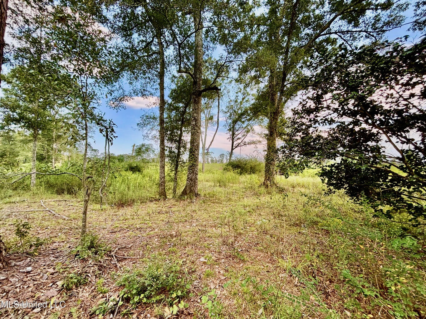 80 Acres in Walthall County
