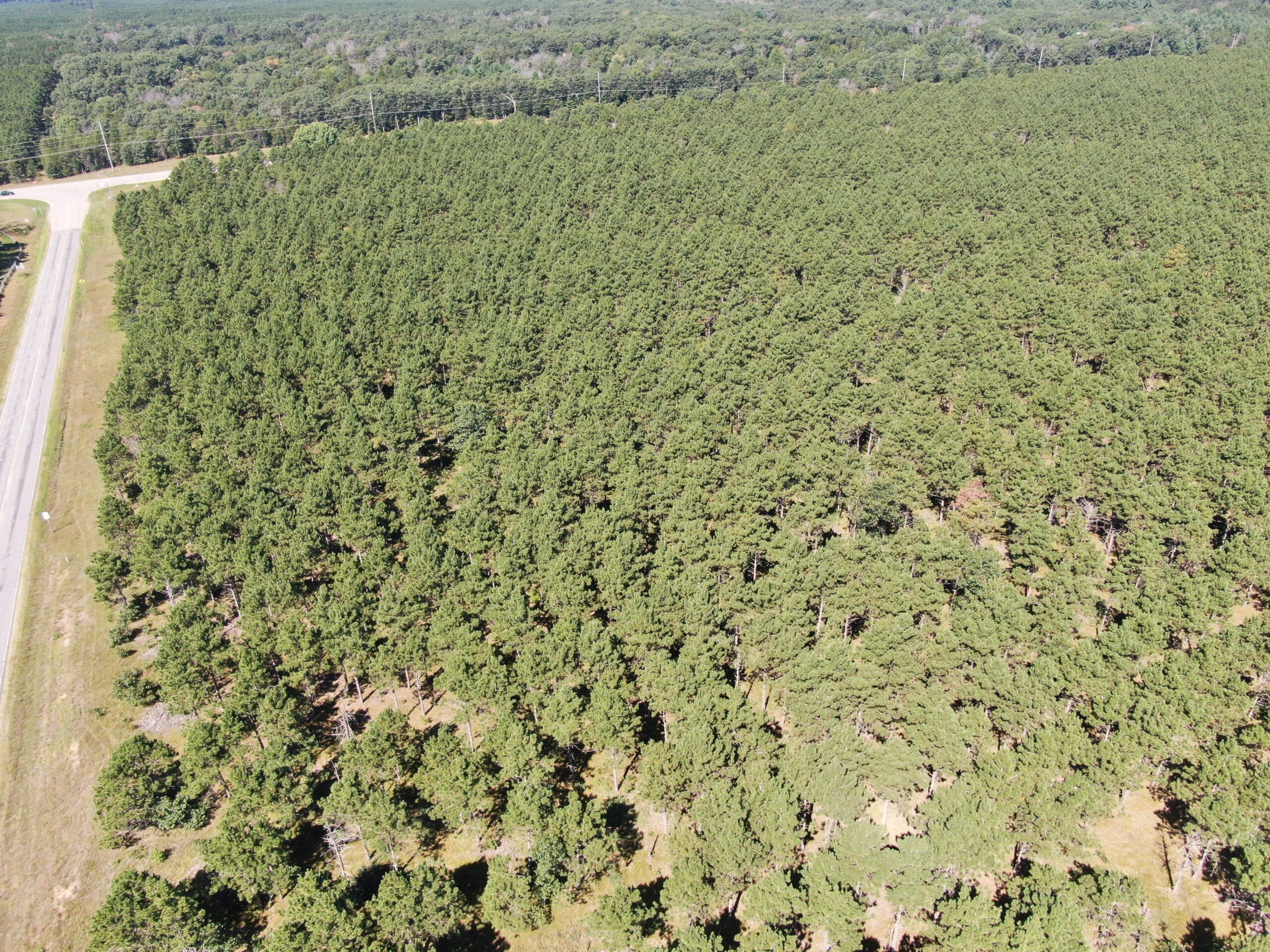 37.77-acre wooded parcel in the Town of Rome