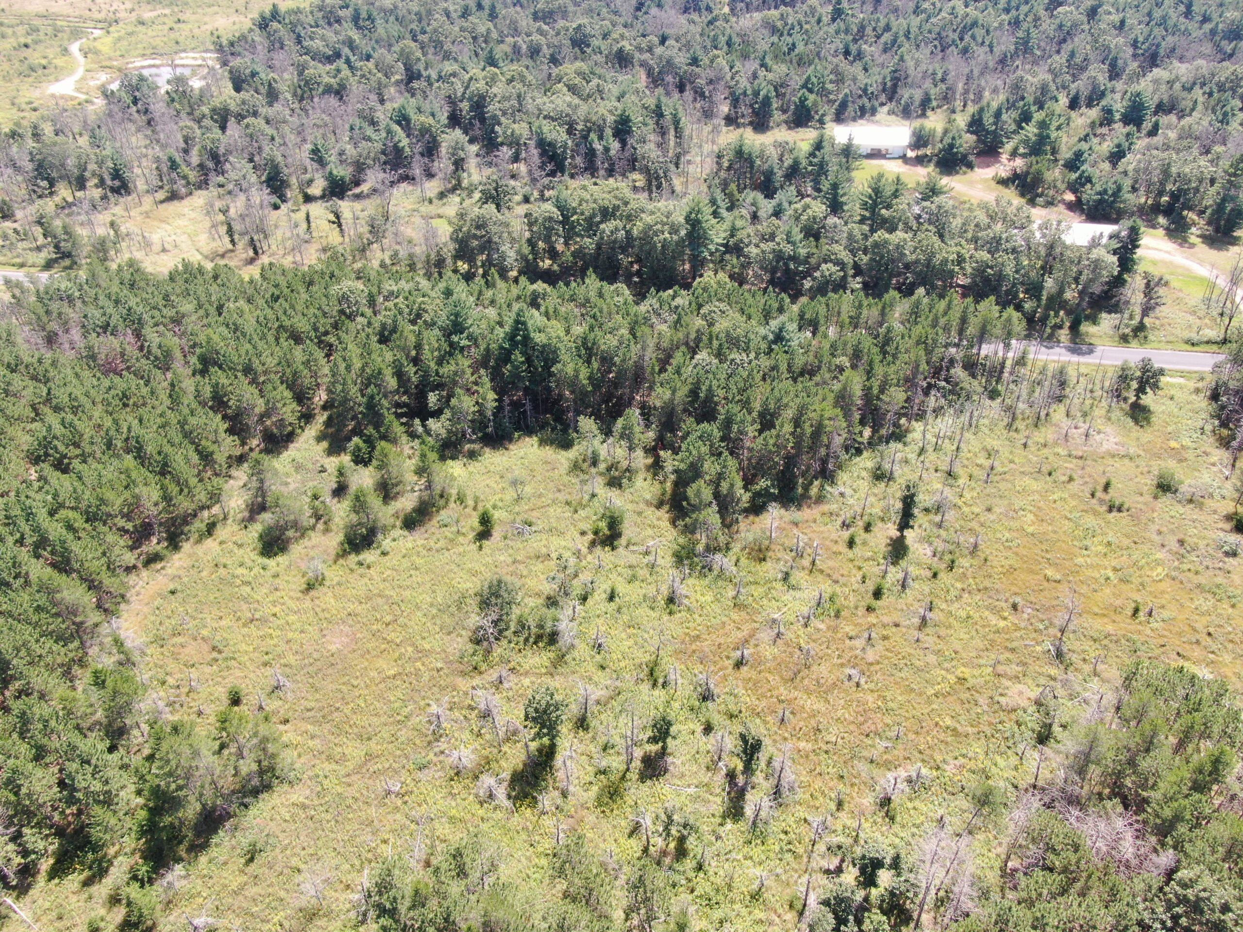 40 acres of recreational land in the Town of Monroe, Adams County