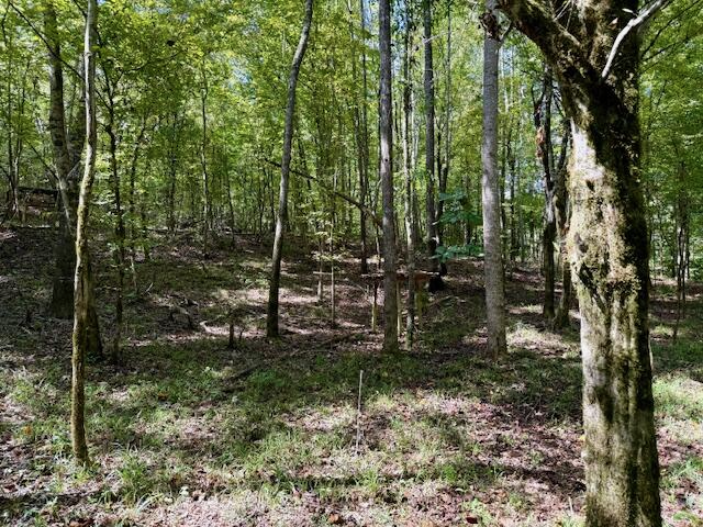 Mississippi Land For Sale With A Creek