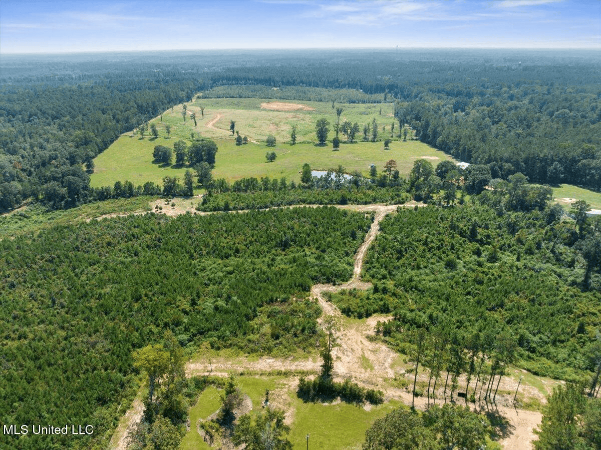 Rolling Hills Pastureland and Wooded land for sale