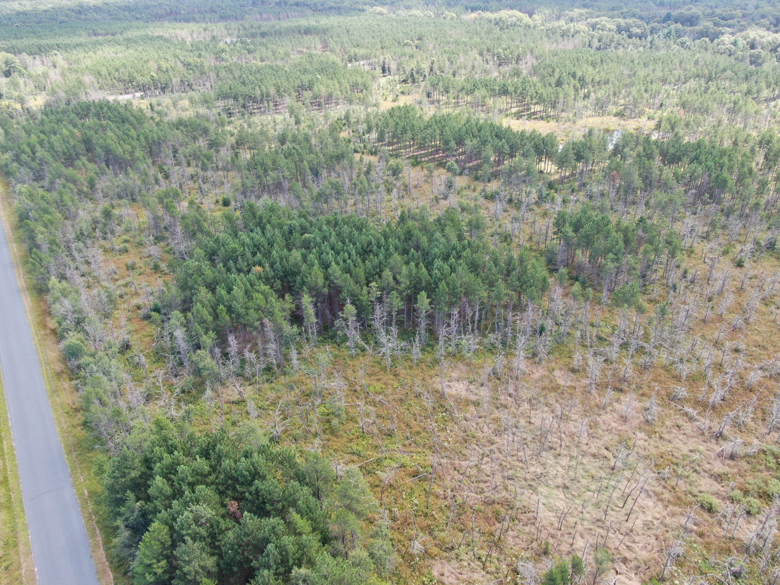 40-acre corner parcel in the Town of Monroe