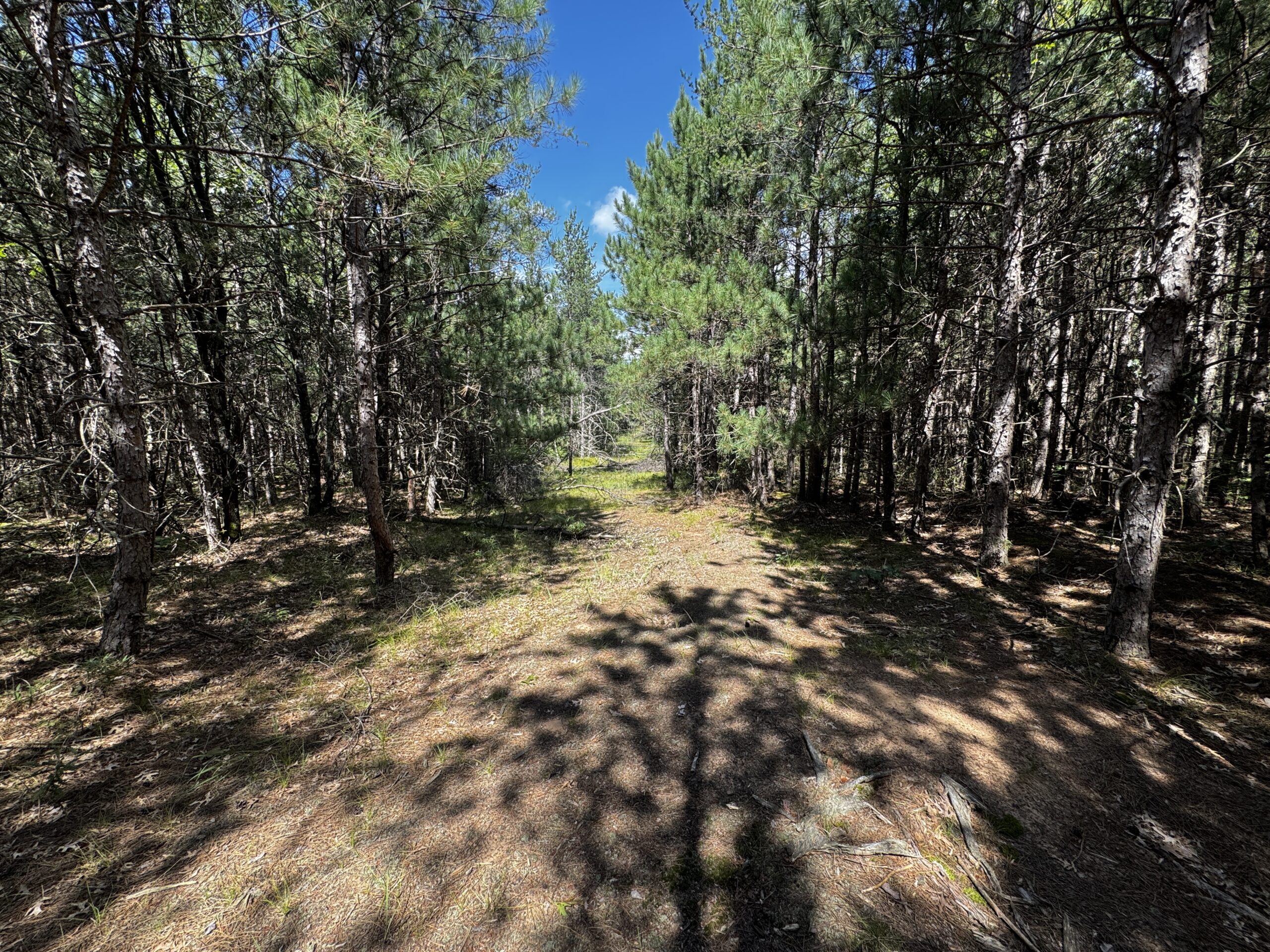 40-acre corner parcel in the Town of Big Flats, Adams County