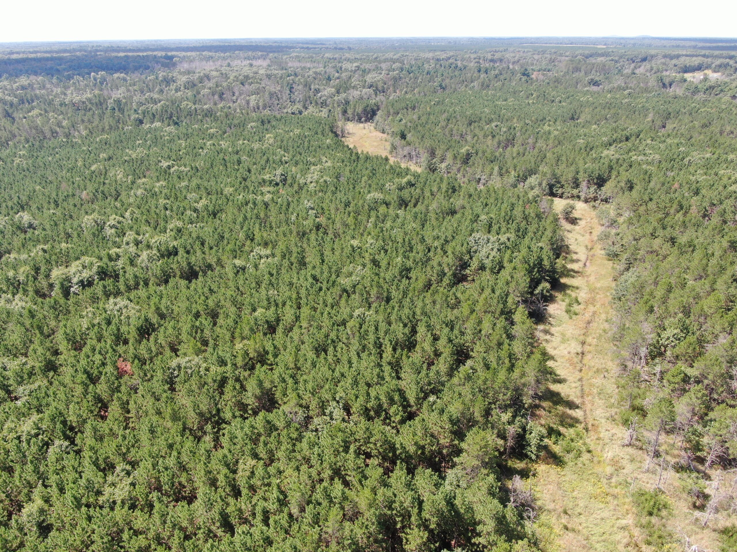 80-acre timber tract in the Town of Big Flats