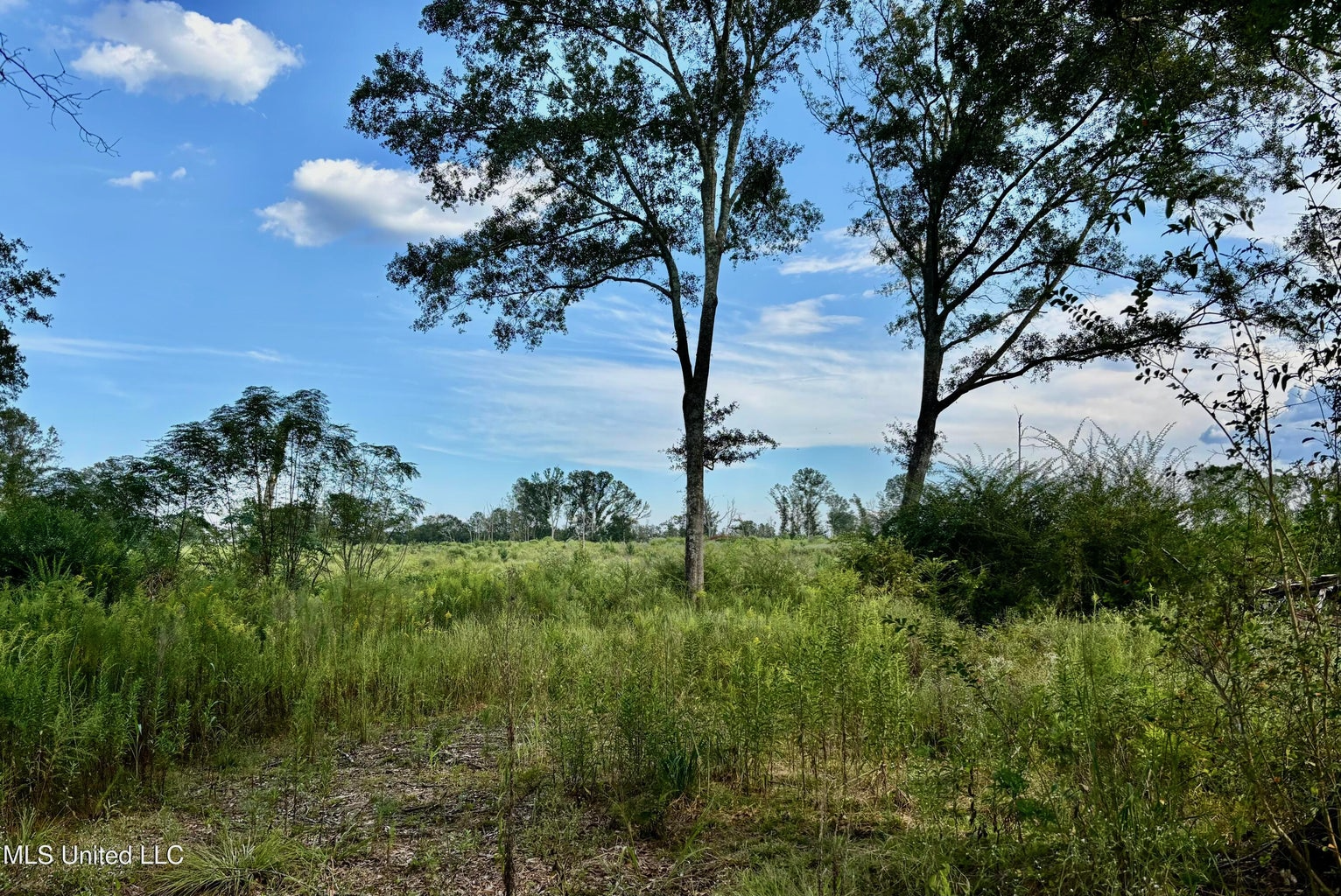 80 Acres in Walthall County