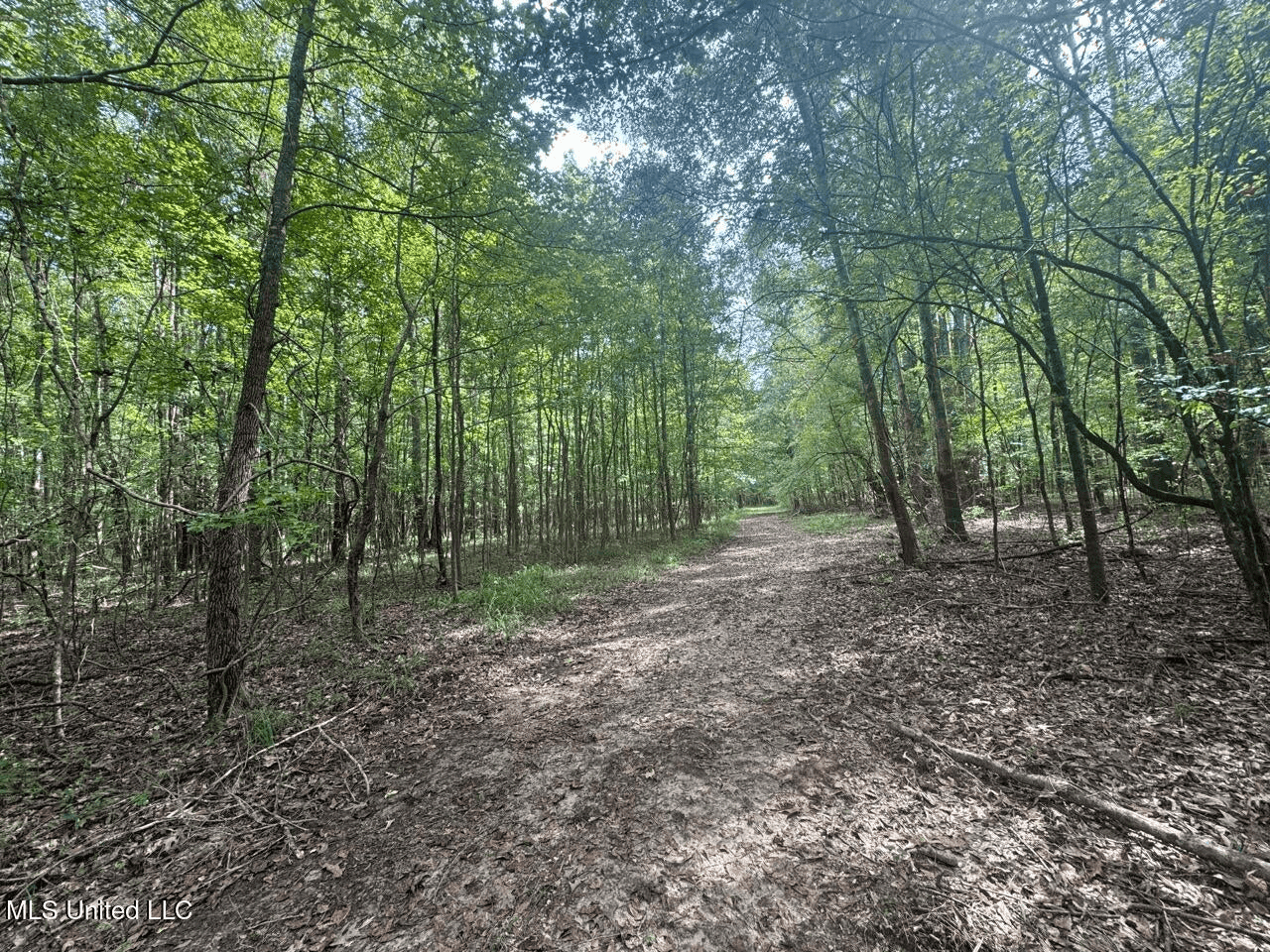 Hunting Land in Claiborne County, MS – The Sawmill 98