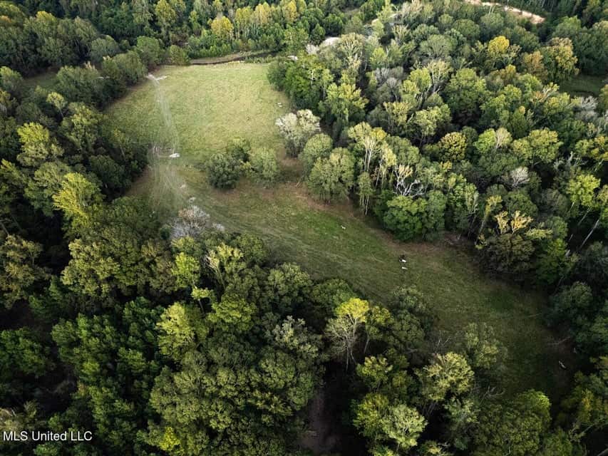 Magnolia Wilds – Premier Louisiana Investment Property for Sale