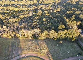 28 Acres for Sale South Jackson, Hinds County, MS