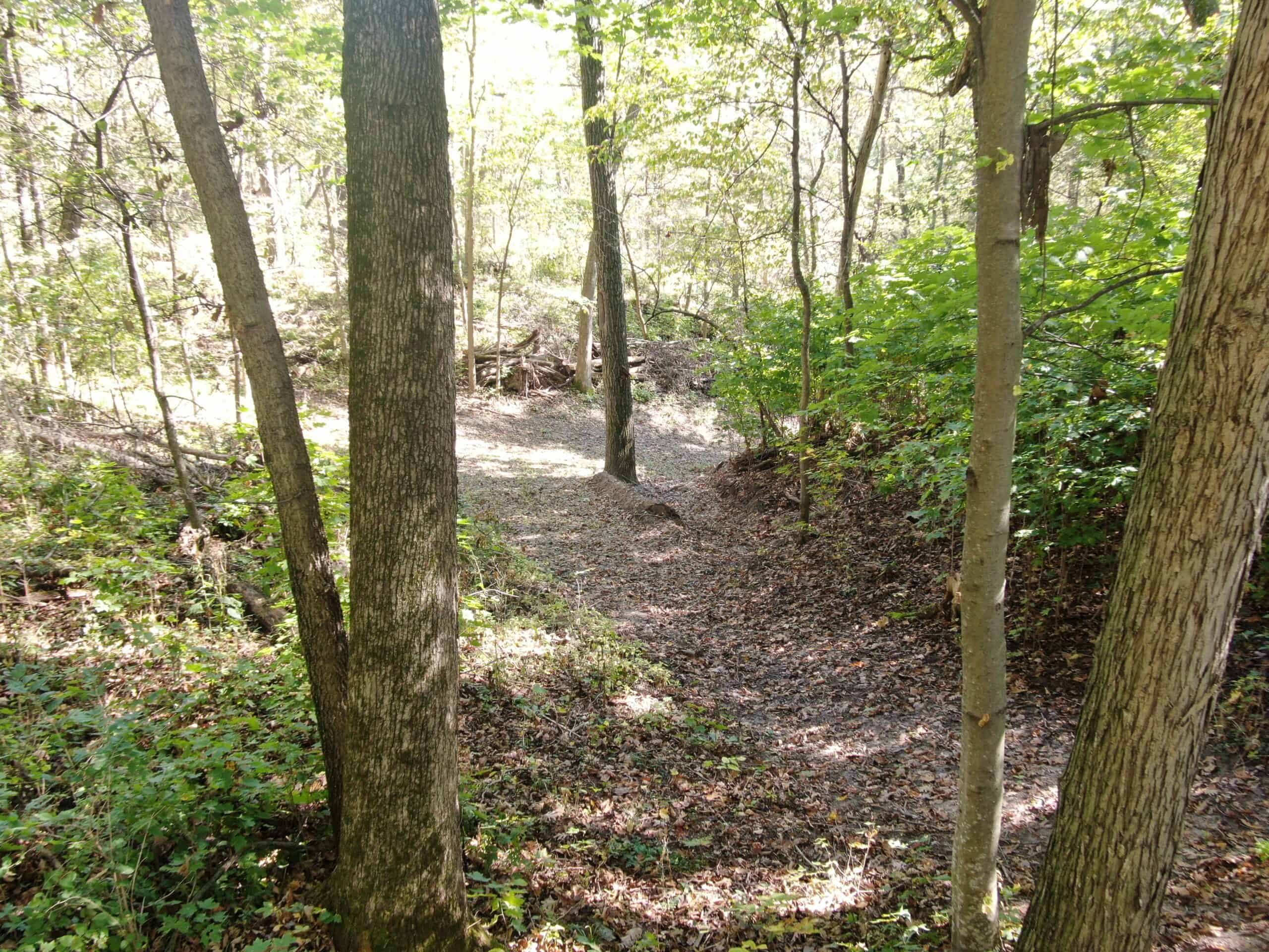 28± acre Sauk County Gem of a Property