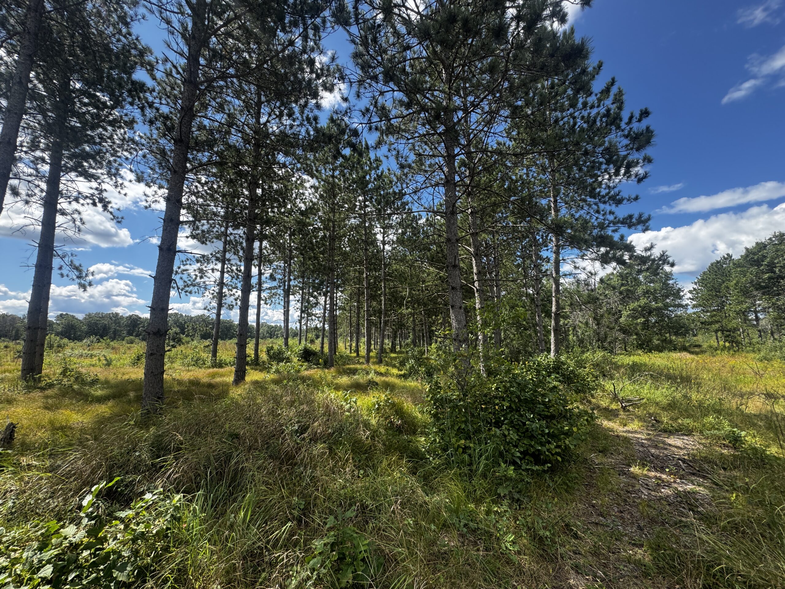 80-acre parcel in the Town of Big Flats