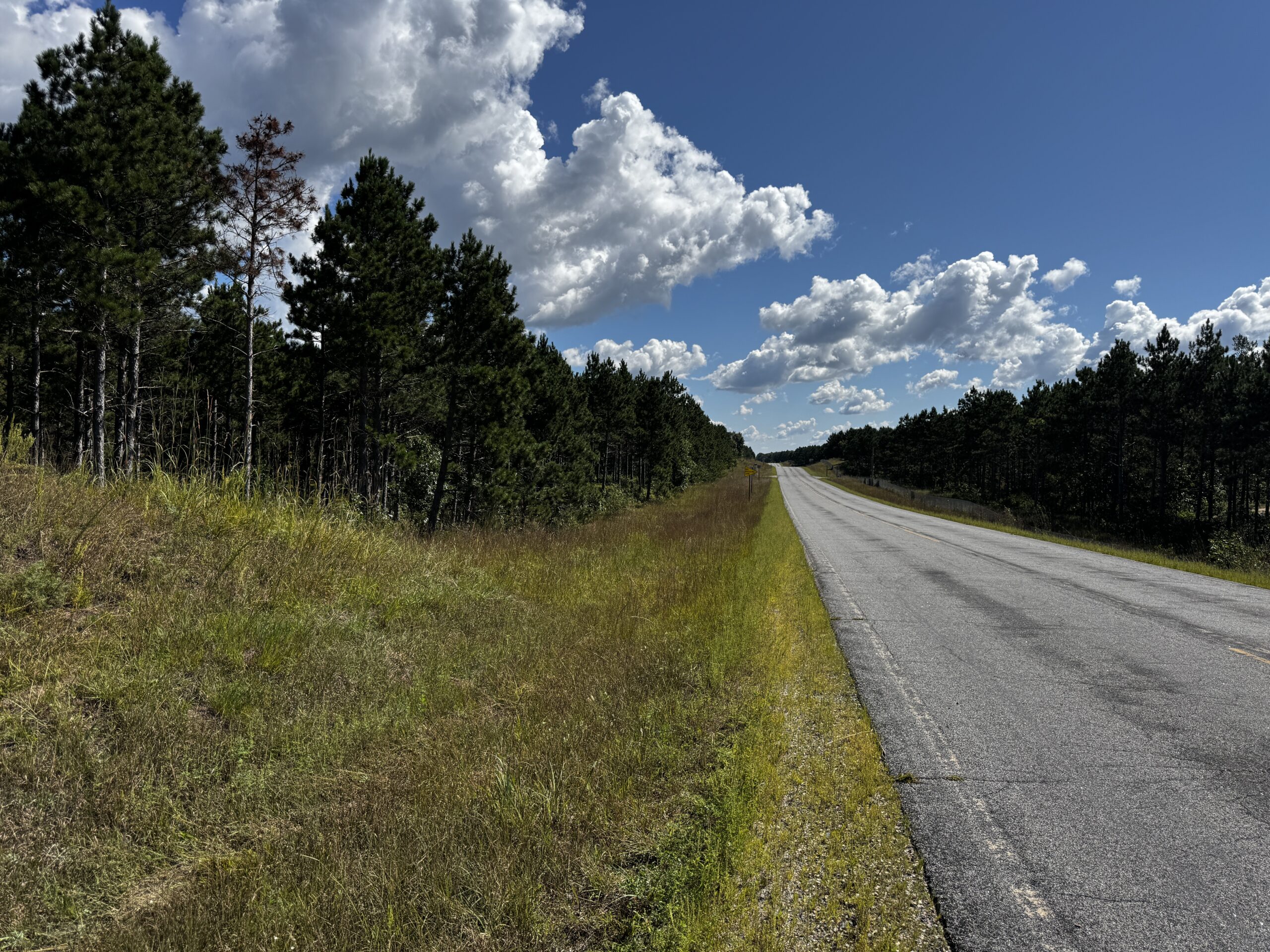 40-acre wooded parcel in the Town of Rome