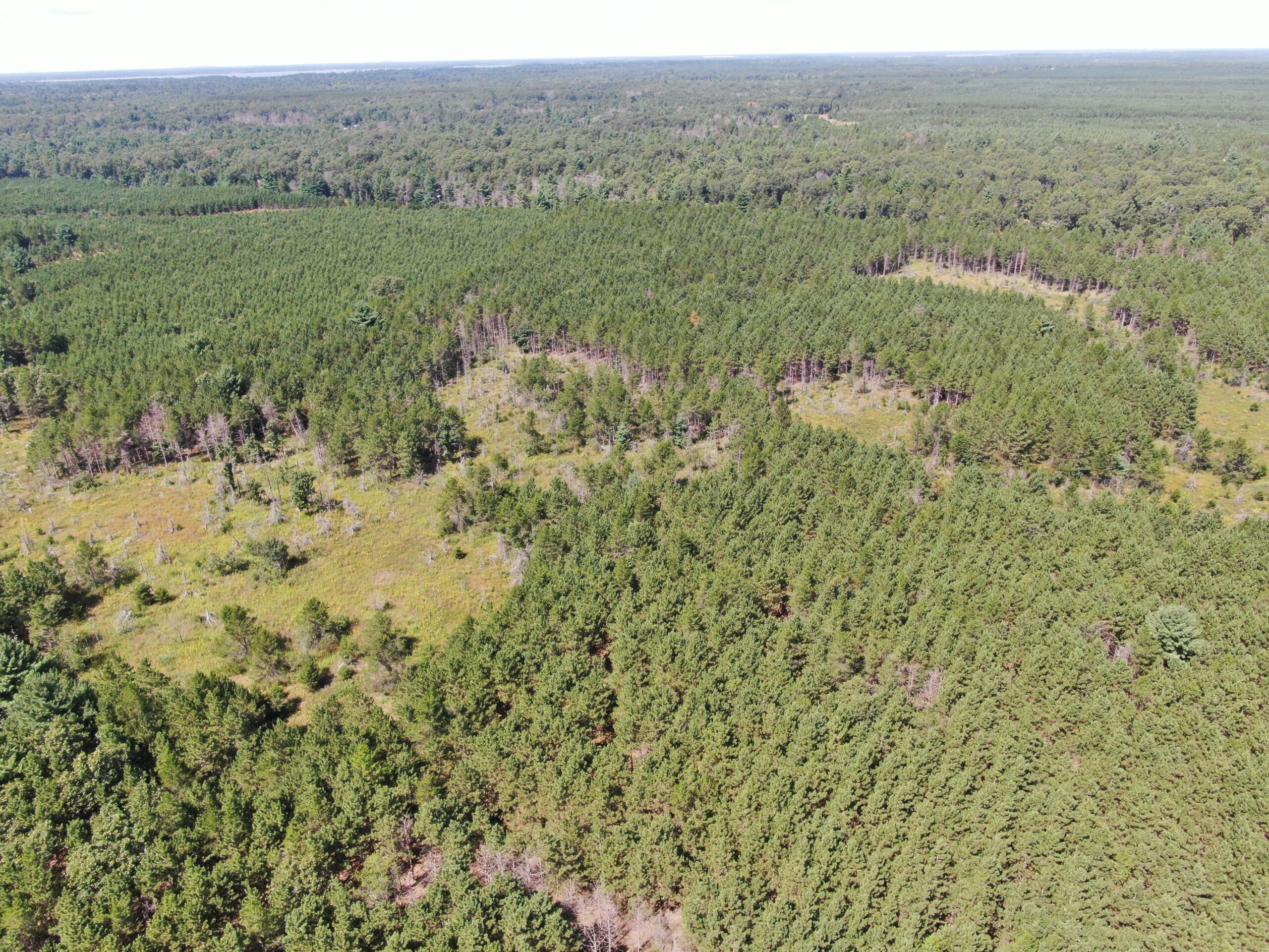 40 acres of recreational land in the Town of Monroe, Adams County