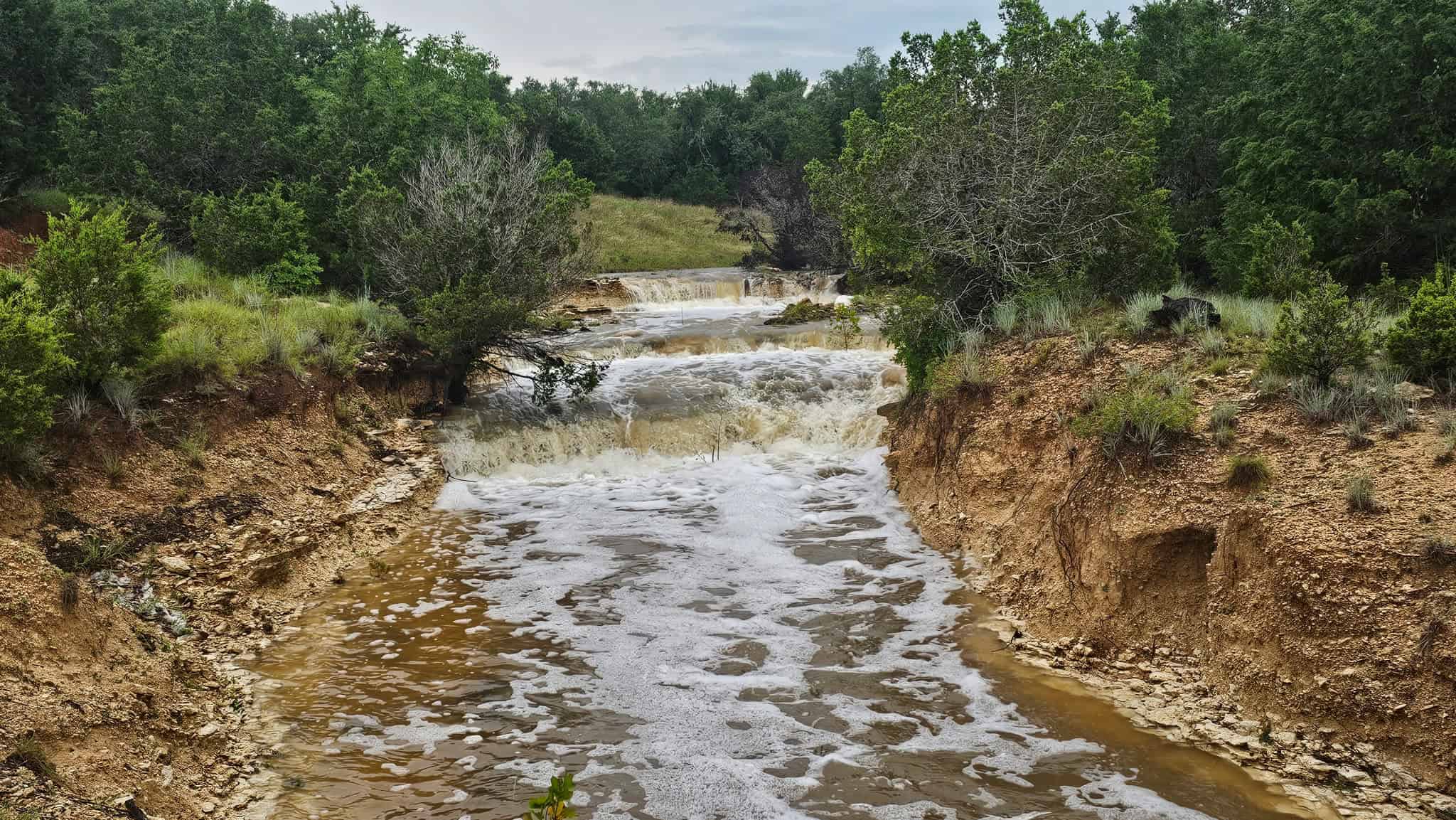 44.574 Acres of Central Texas Hunting Land for Sale