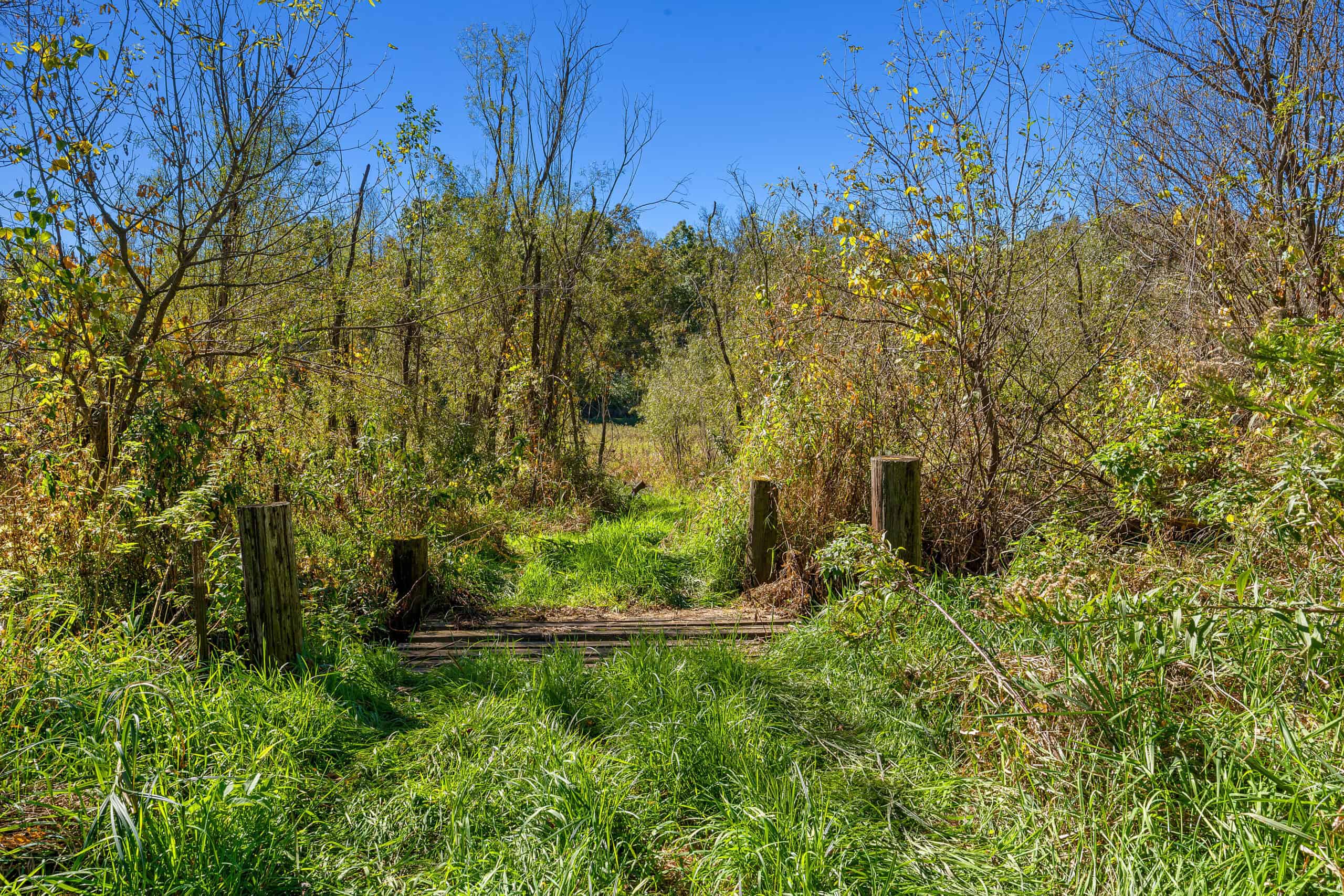 Trempealeau County Riverfront Hunting Land for Sale