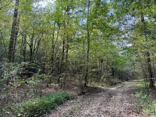 Mississippi Land For Sale With A Creek