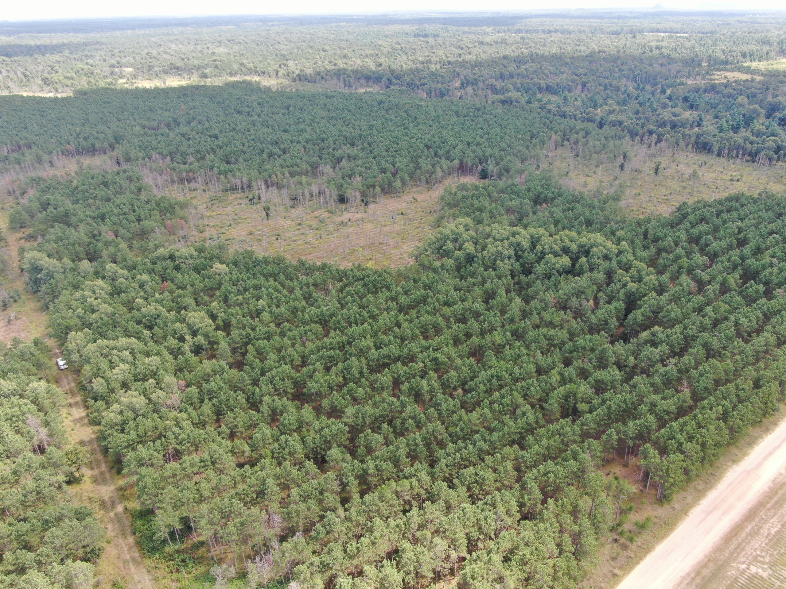 80-acre timber tract in Adams County