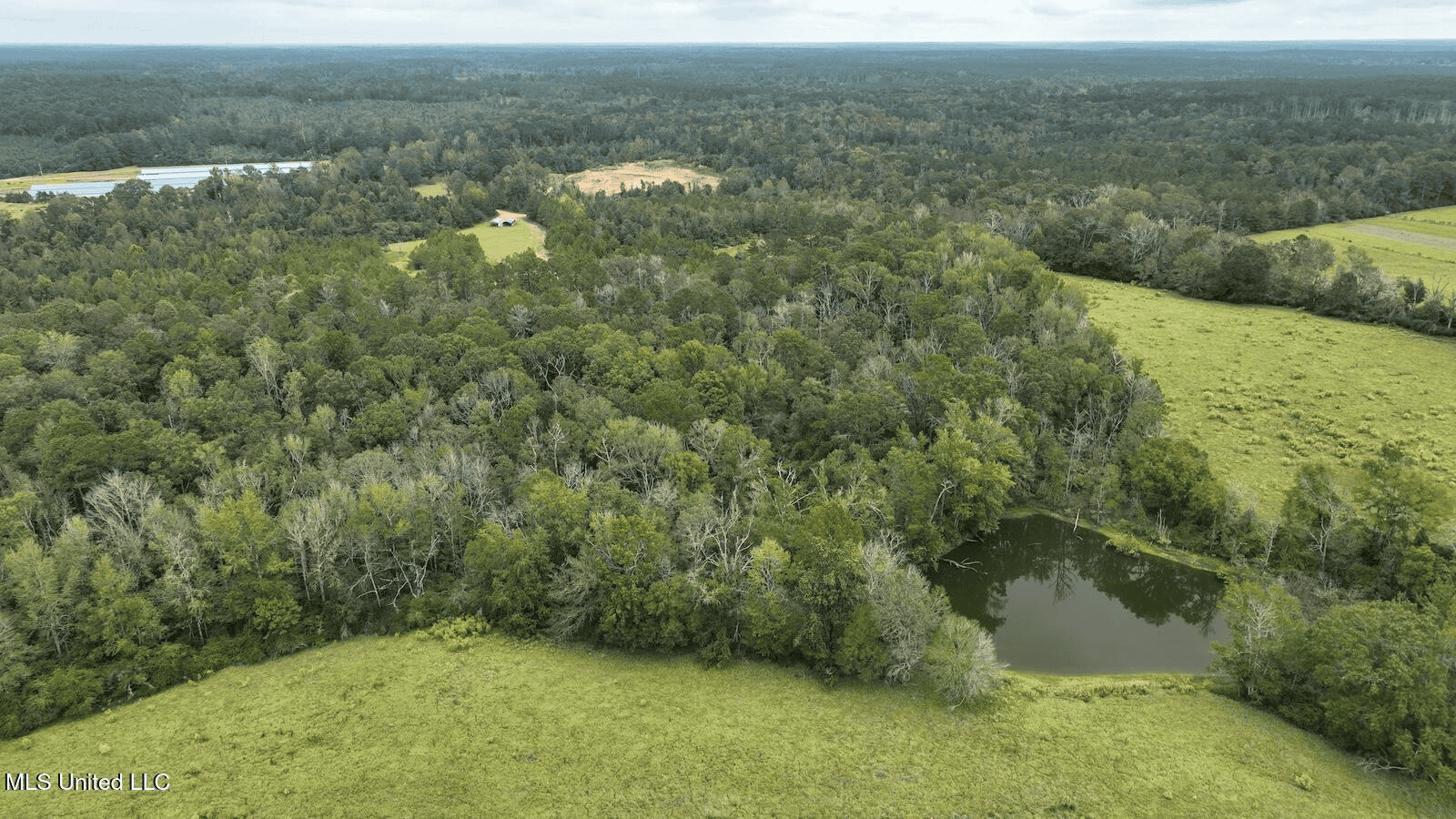 Prentiss MS Pasture Land for sale