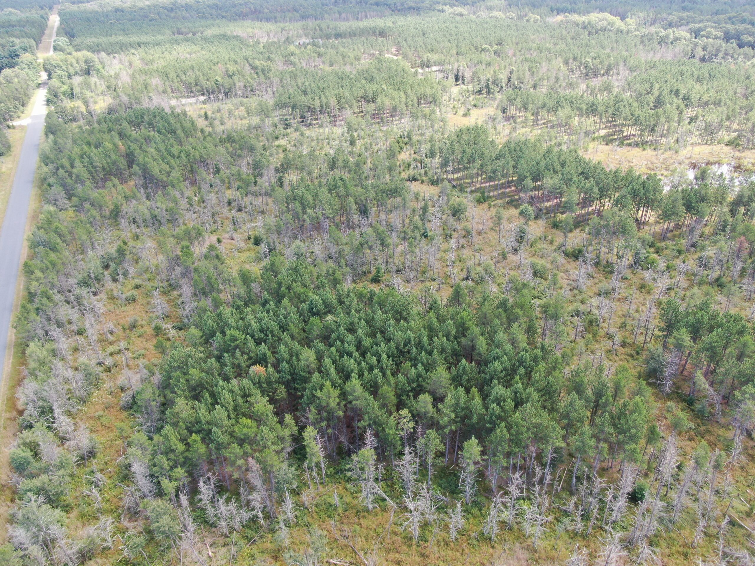 40-acre corner parcel in the Town of Monroe