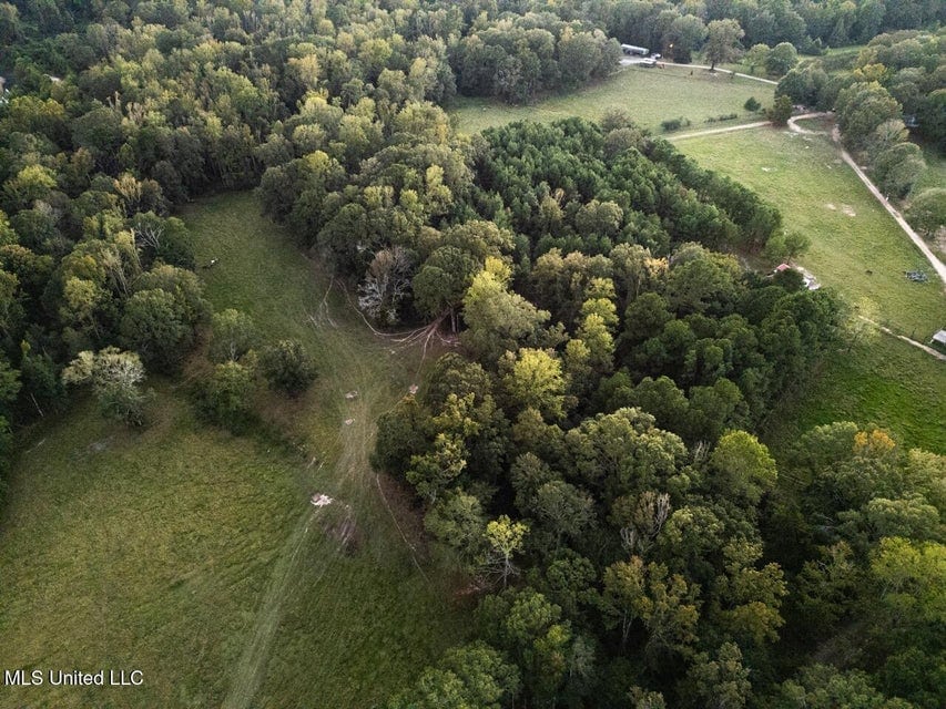 Magnolia Wilds – Premier Louisiana Investment Property for Sale