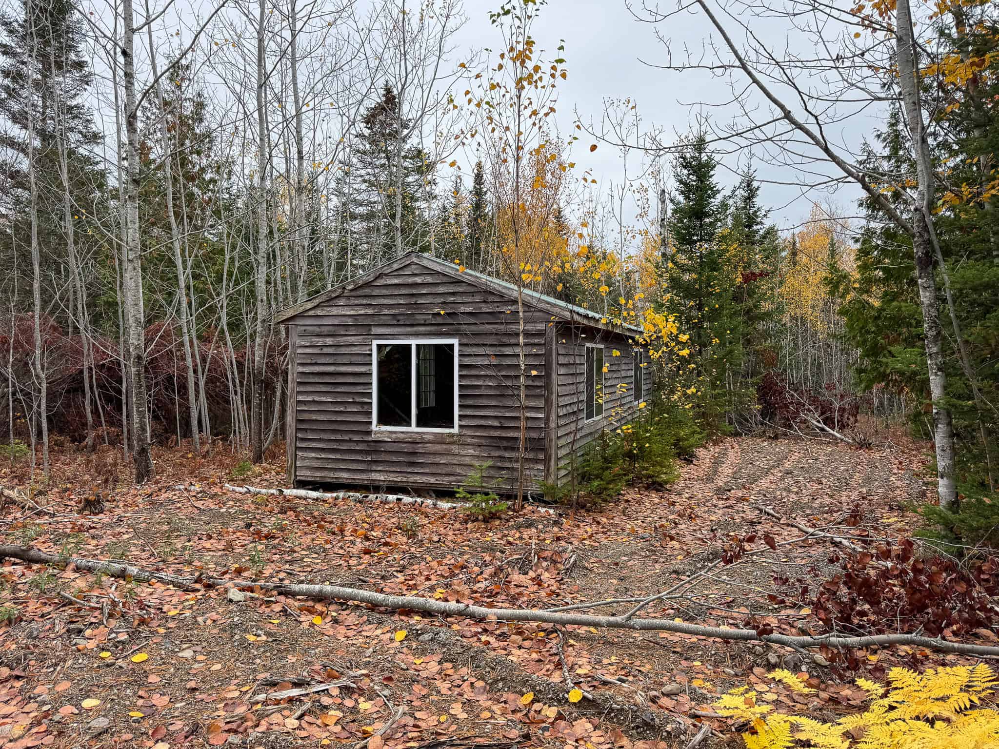 80± Acres Near the Coast – Pembroke, Maine