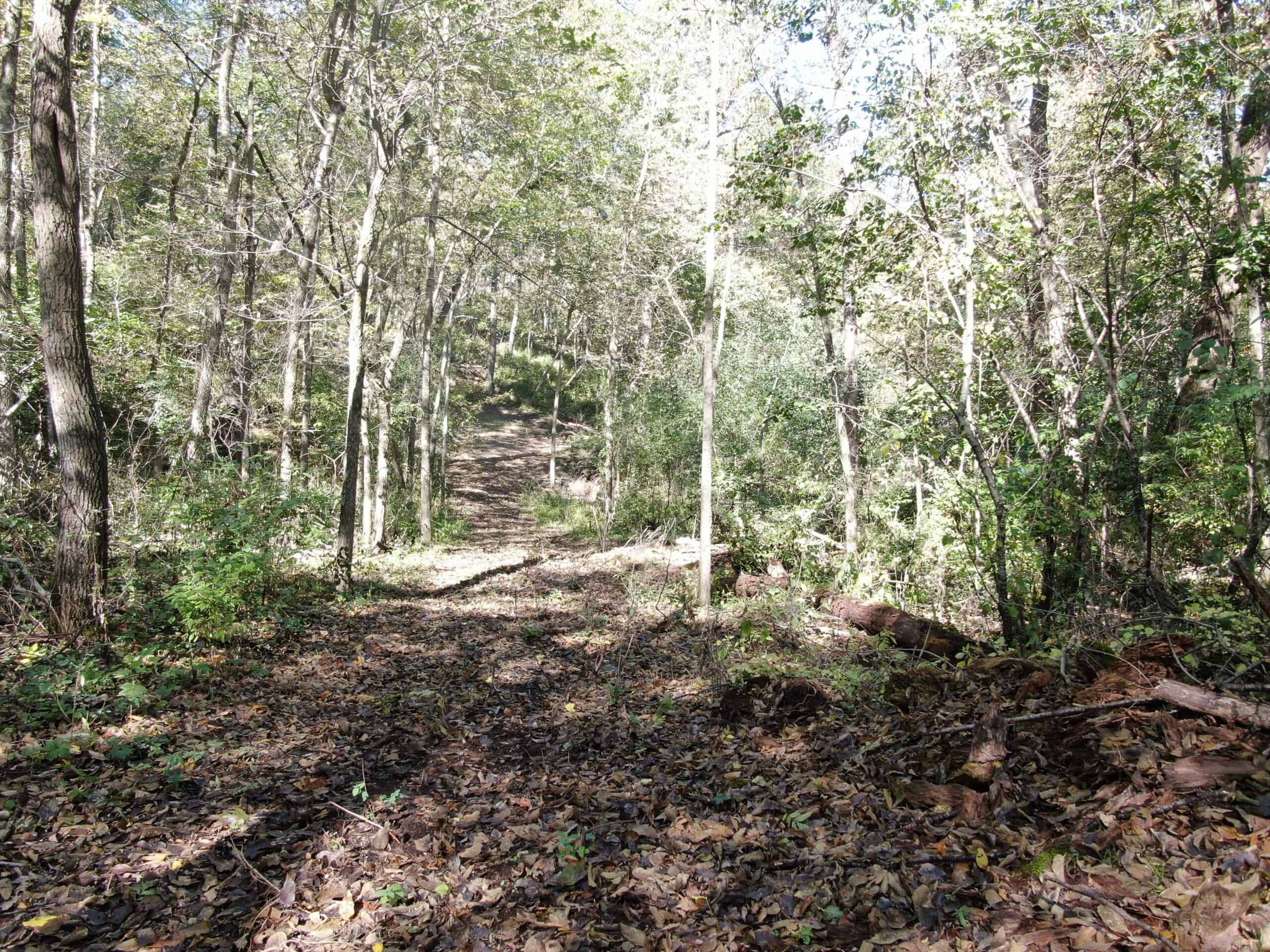 28± acre Sauk County Gem of a Property