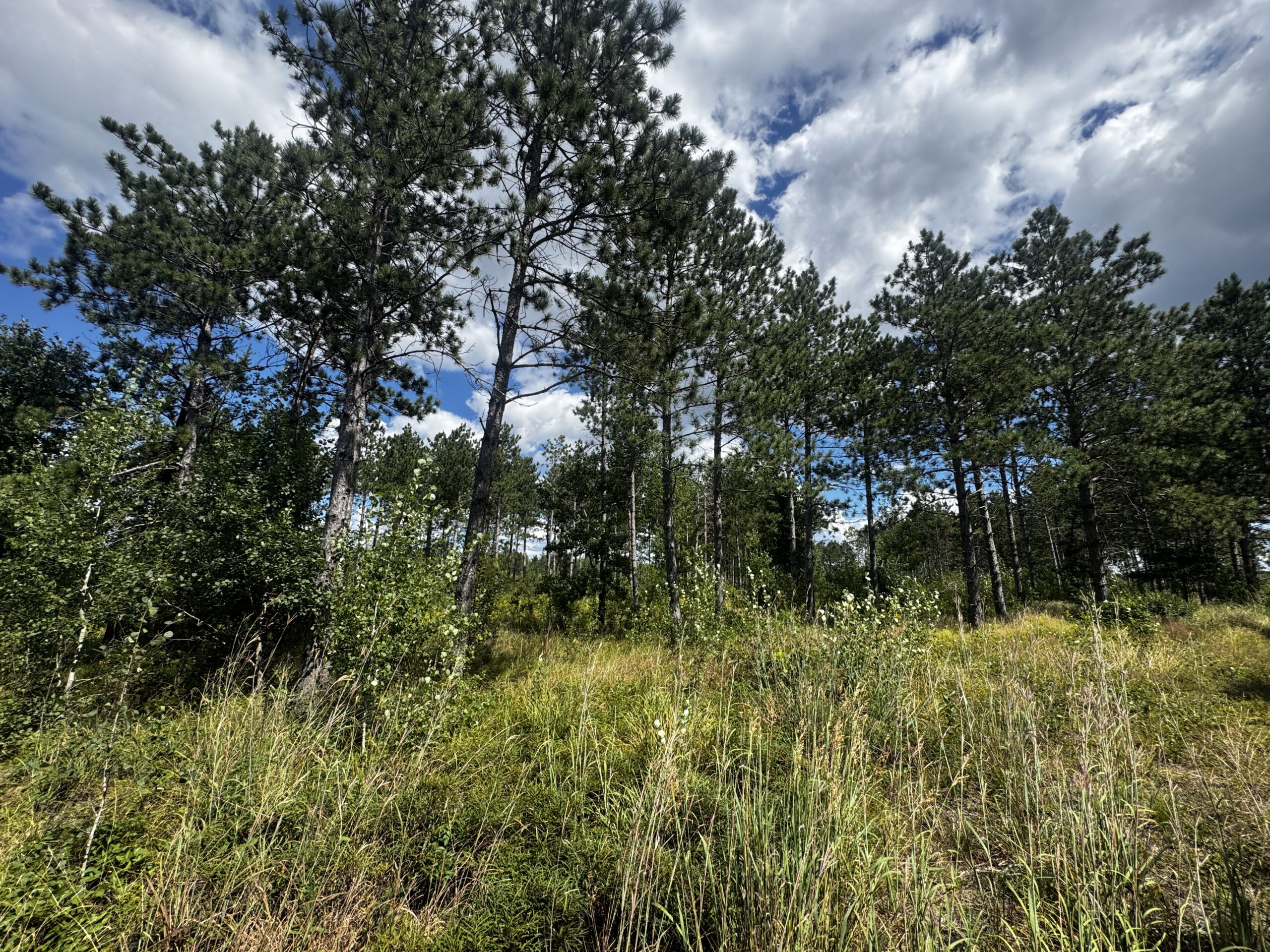 80-acre parcel in the Town of Big Flats