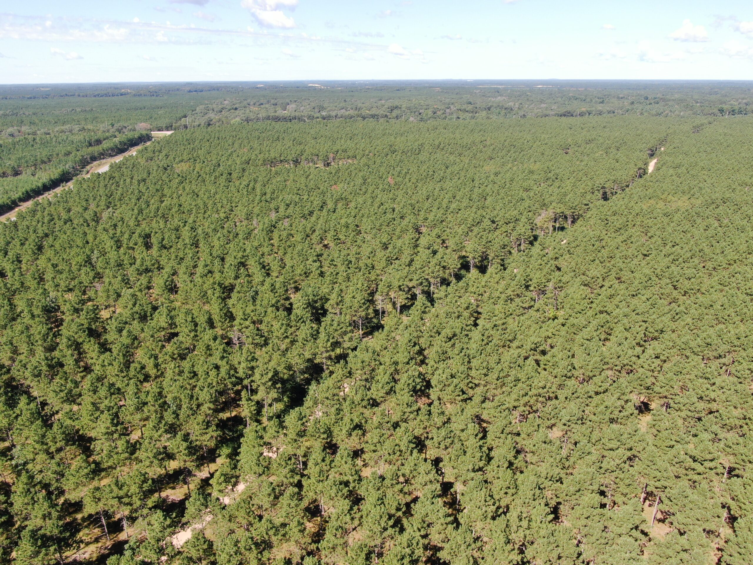 40-acre wooded parcel in the Town of Rome