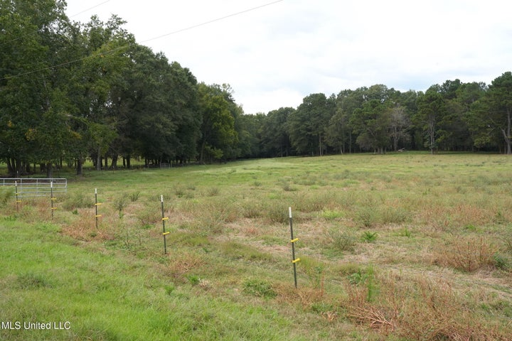 43 Acres of Beautiful Pasture with a Dream Farmhouse