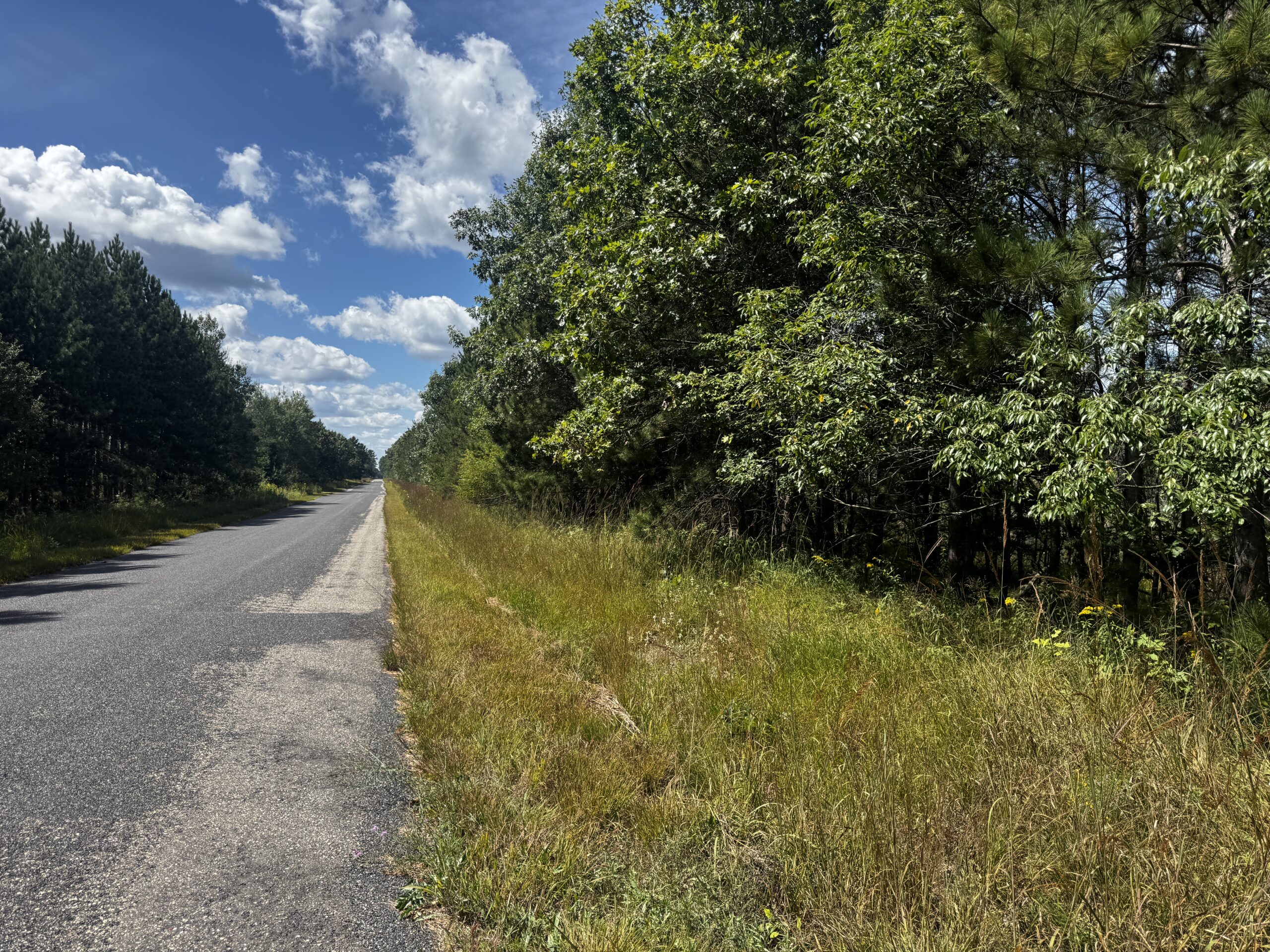 40-acre timber tract in the Town of Monroe, Adams County