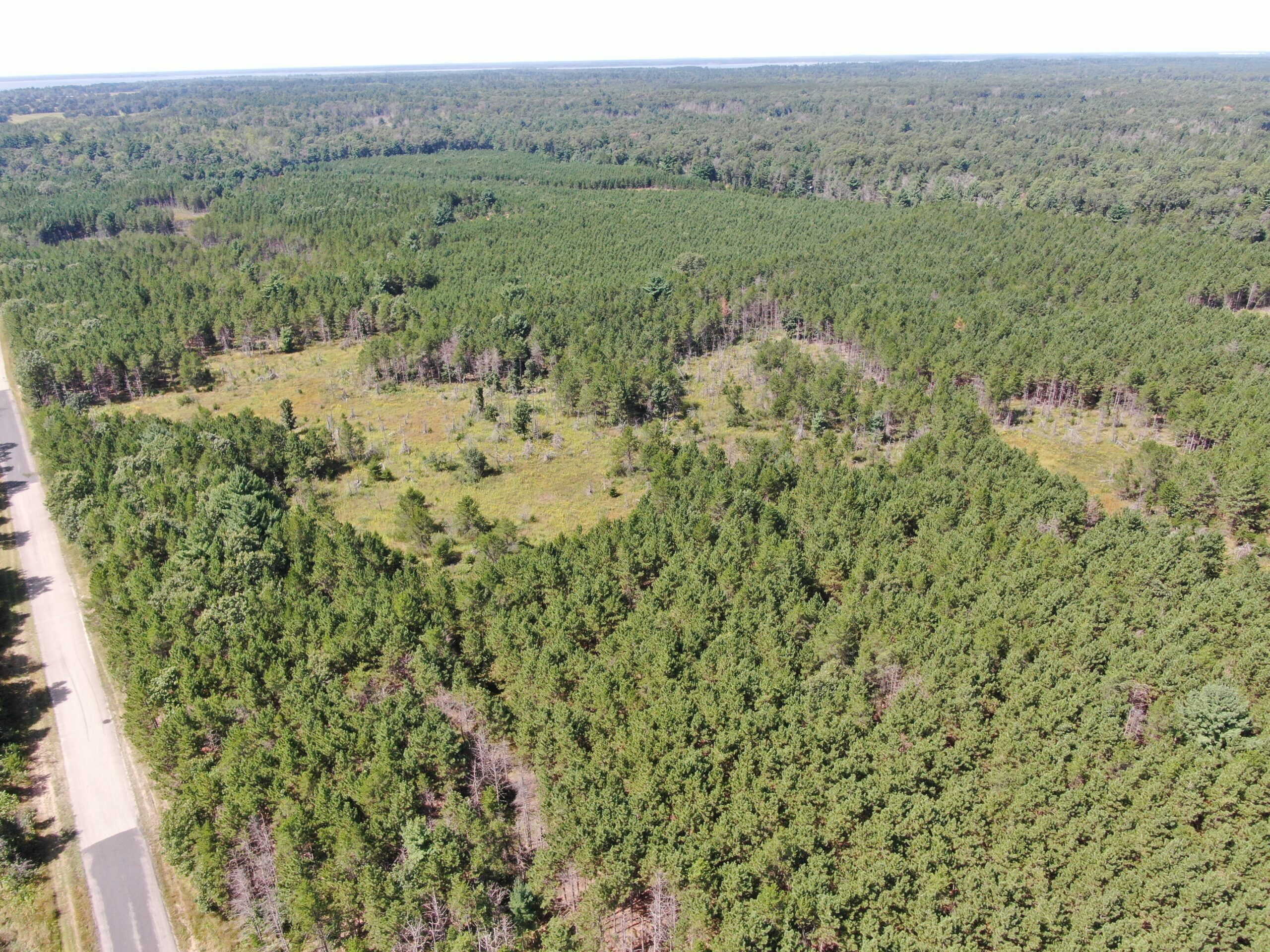40 acres of recreational land in the Town of Monroe, Adams County