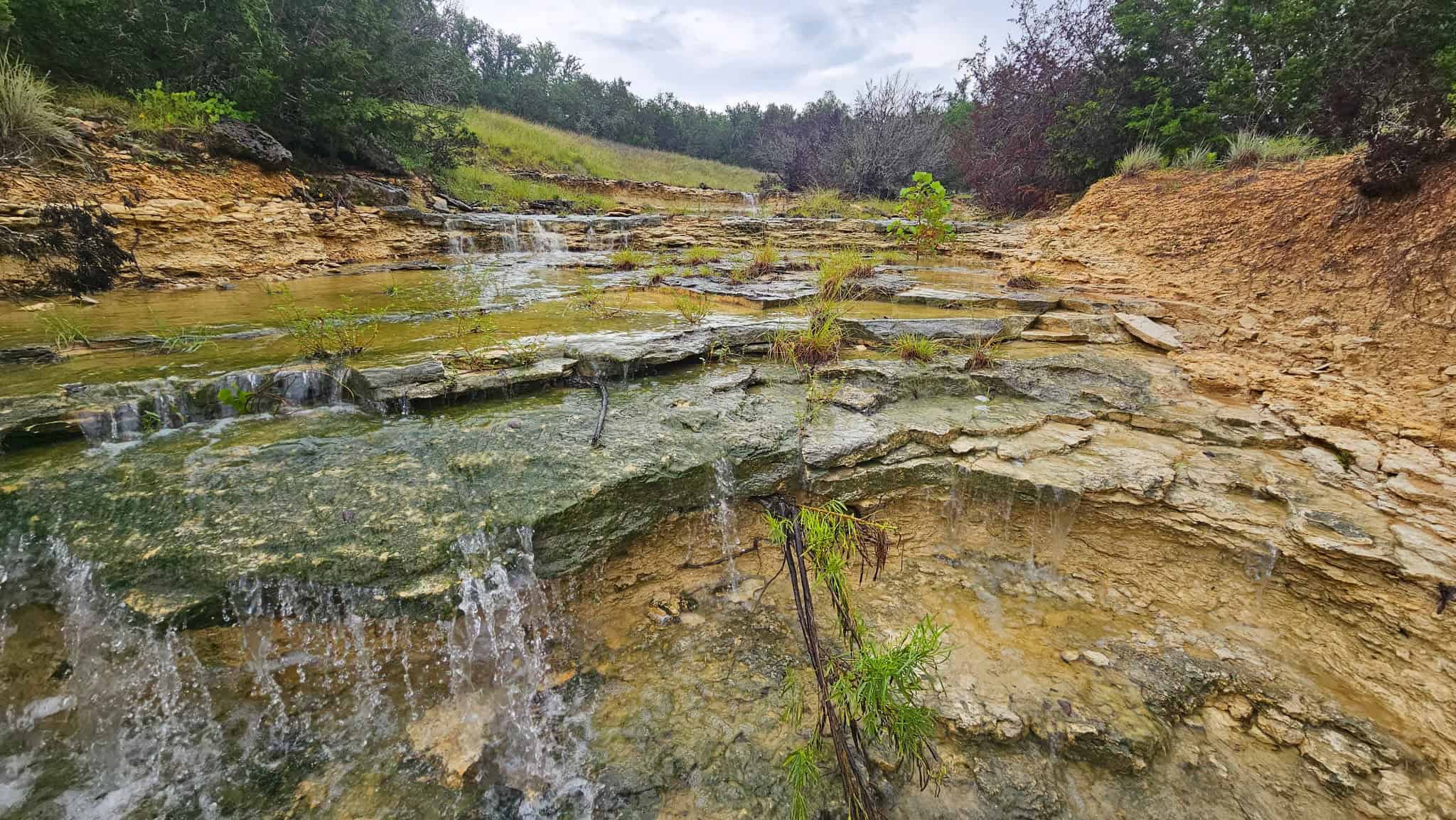 44.574 Acres of Central Texas Hunting Land for Sale