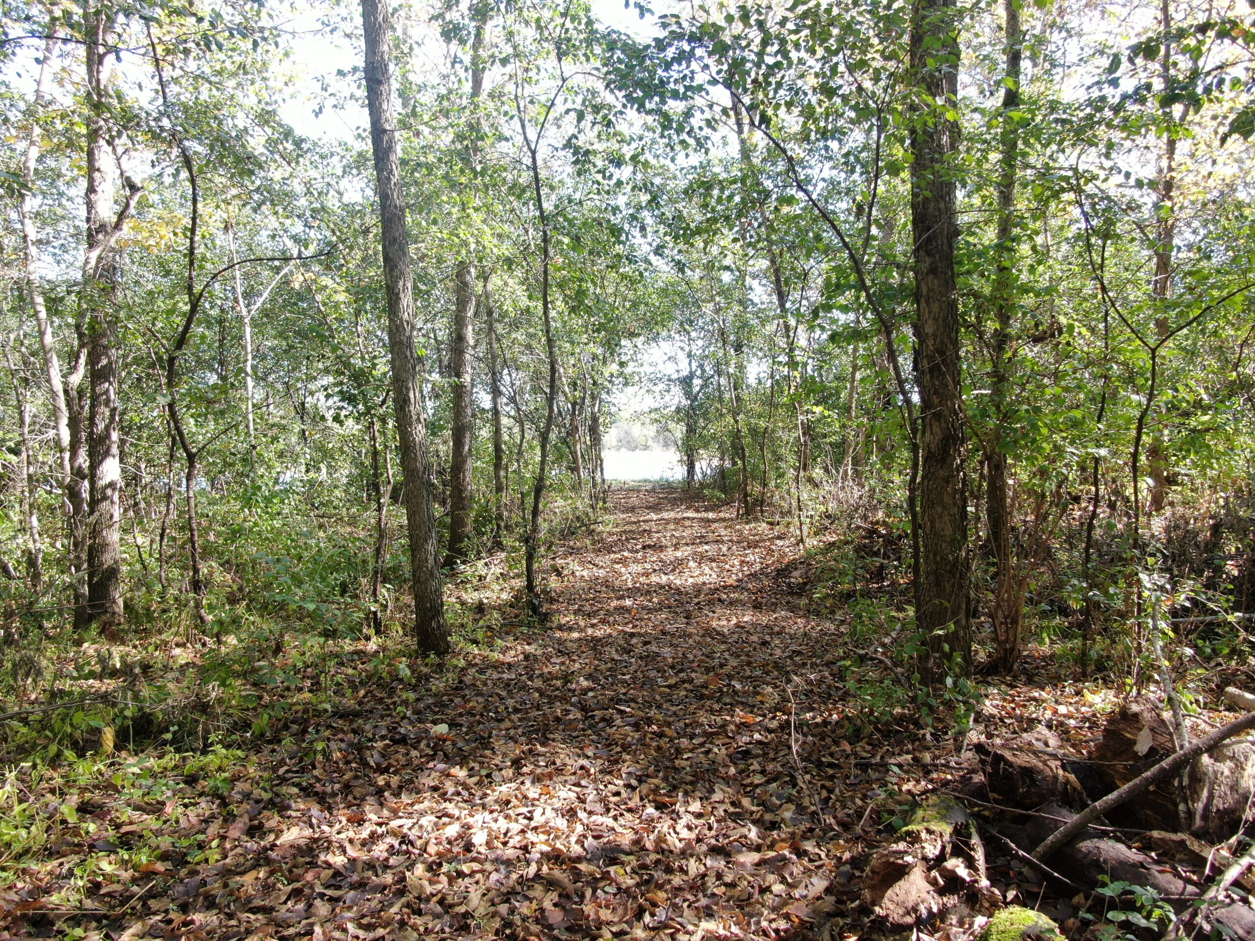 20± acre Sauk County Gem of a Property