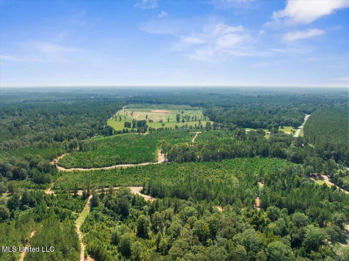 Rolling Hills Pastureland and Wooded land for sale