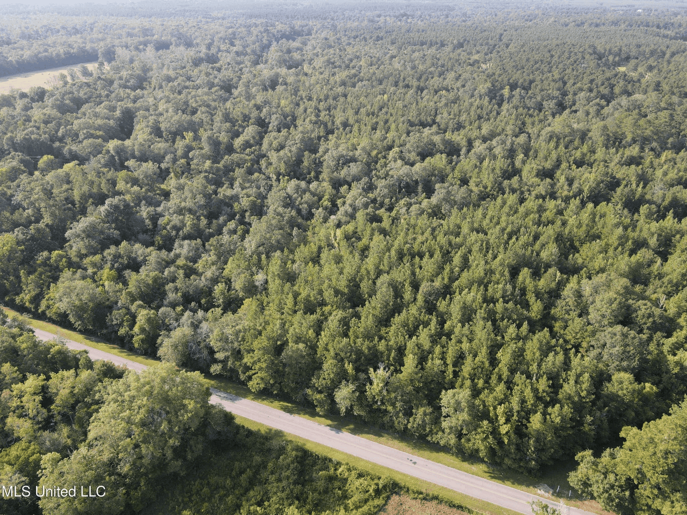 48 Acres for Sale in Jones County, MS Ellisvillle, MS