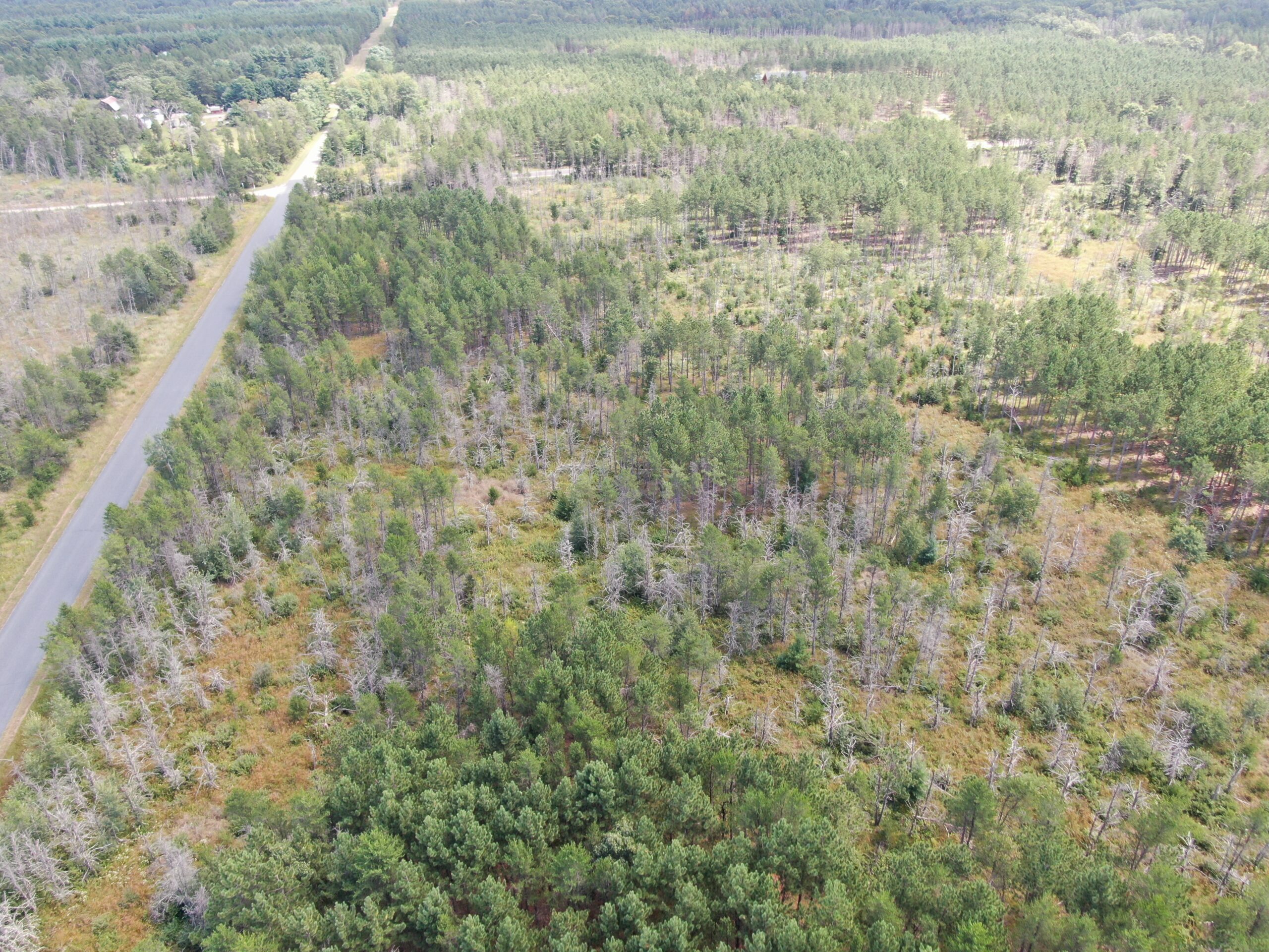 40-acre corner parcel in the Town of Monroe