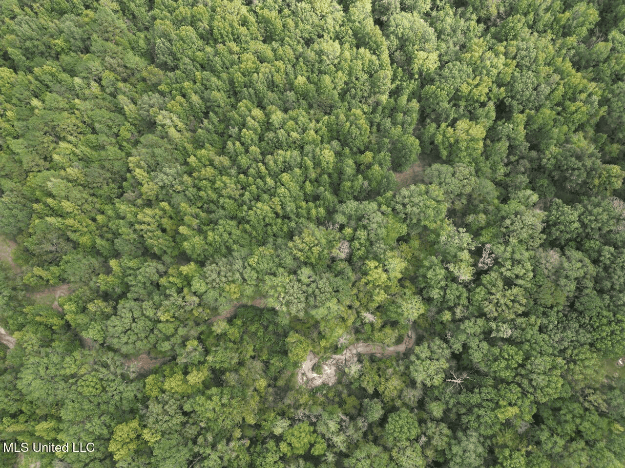 Hunting Land in Claiborne County, MS – The Sawmill 98