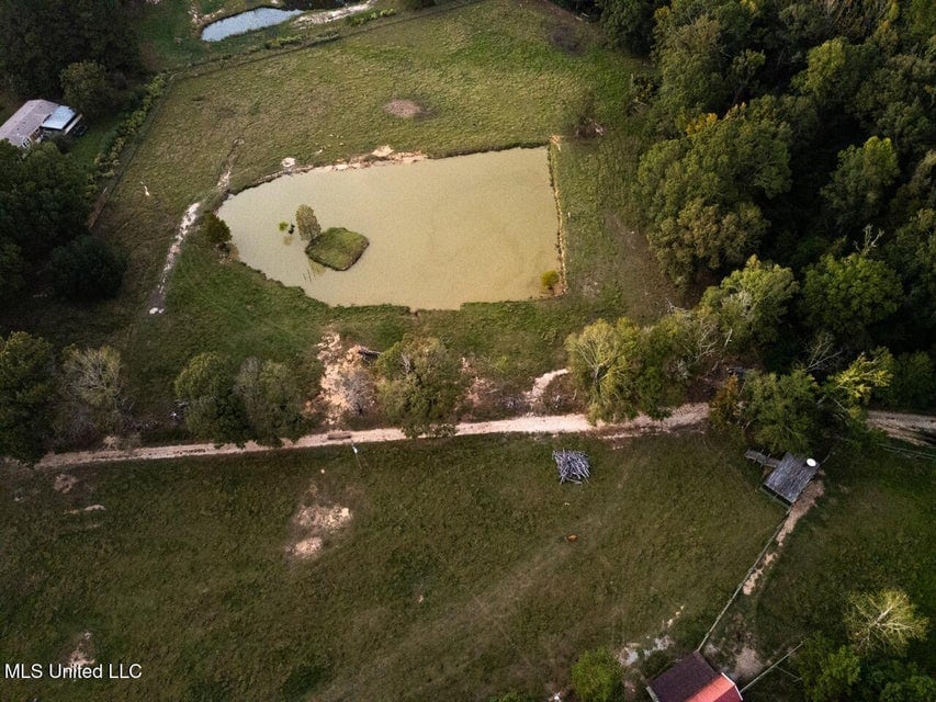 Magnolia Wilds – Premier Louisiana Investment Property for Sale