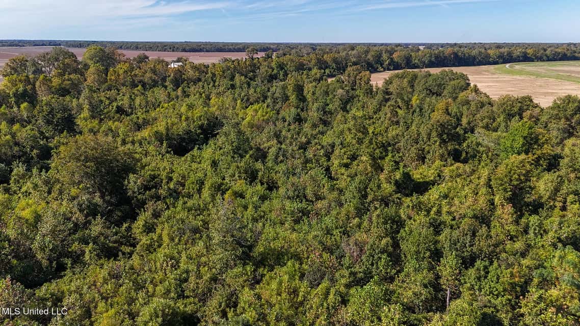 Yazoo River Hunting Tract 78.16 Acres