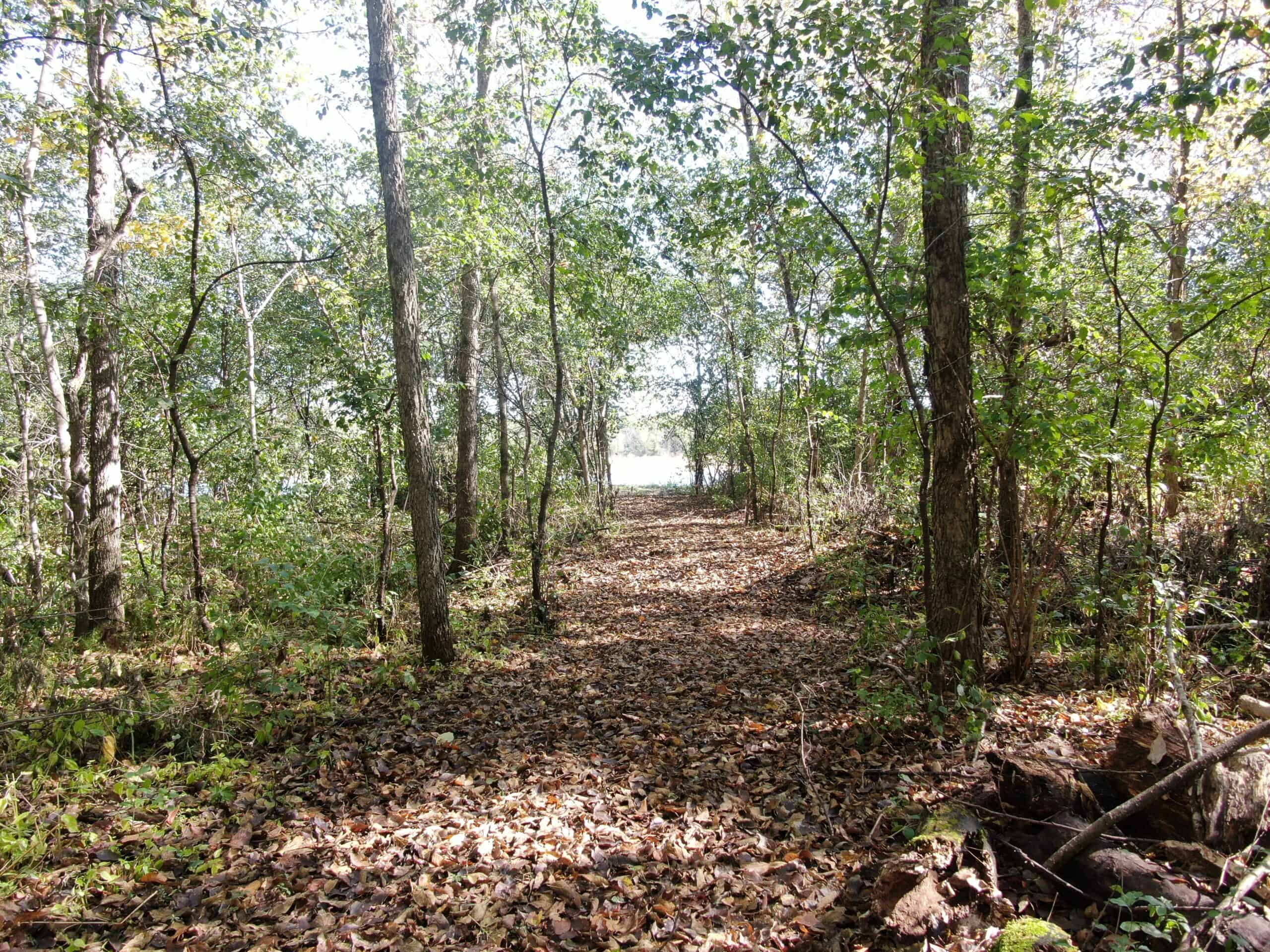 28± acre Sauk County Gem of a Property
