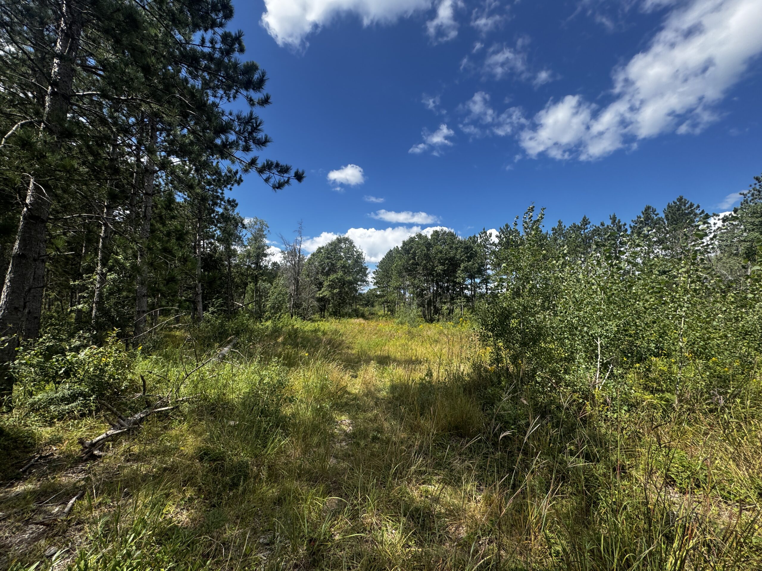 80-acre parcel in the Town of Big Flats