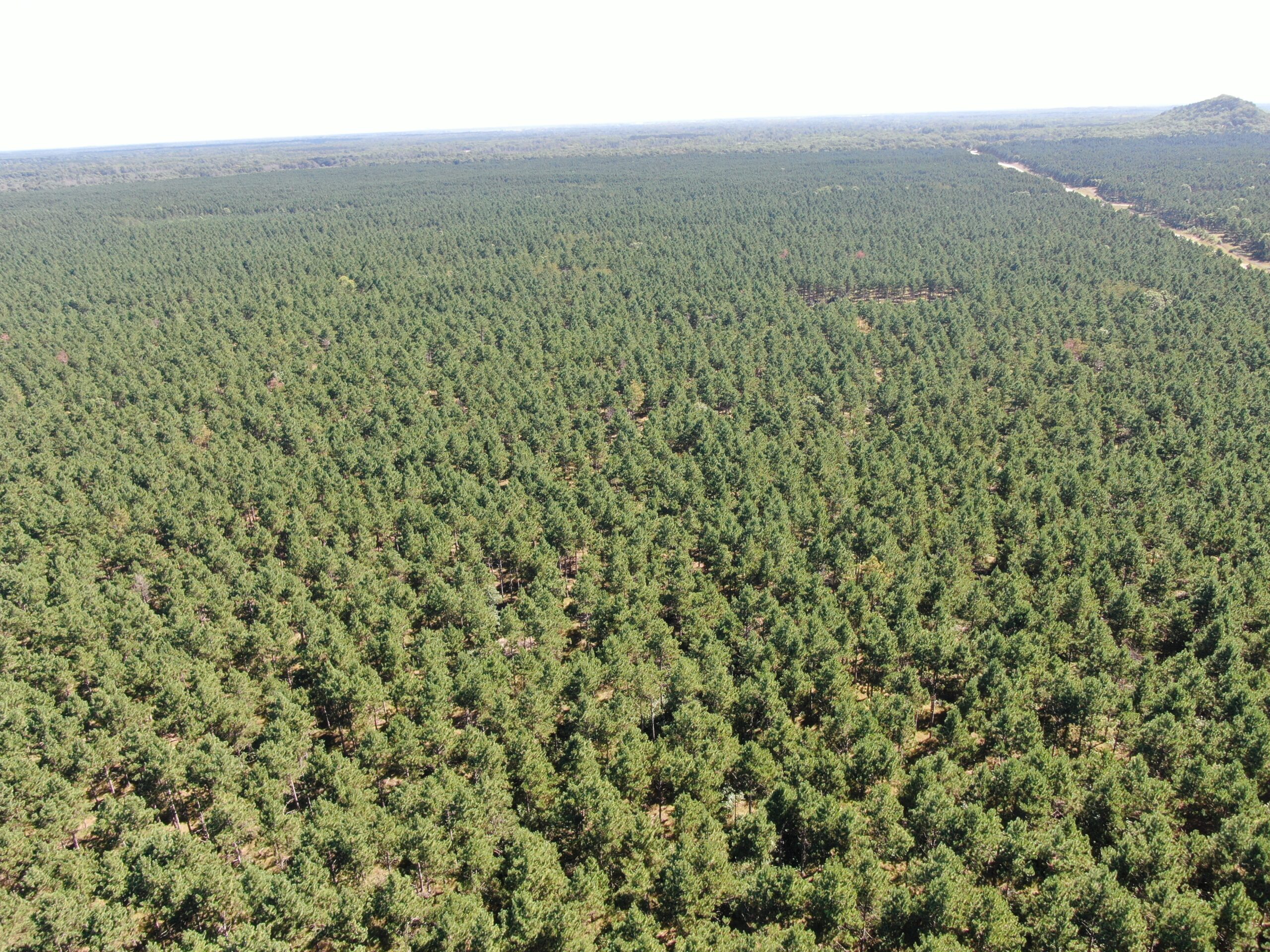 37.77-acre wooded parcel in the Town of Rome