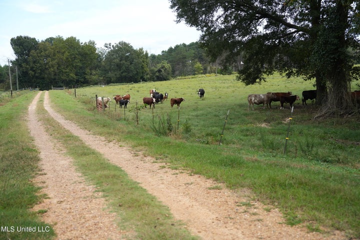43 Acres of Beautiful Pasture with a Dream Farmhouse