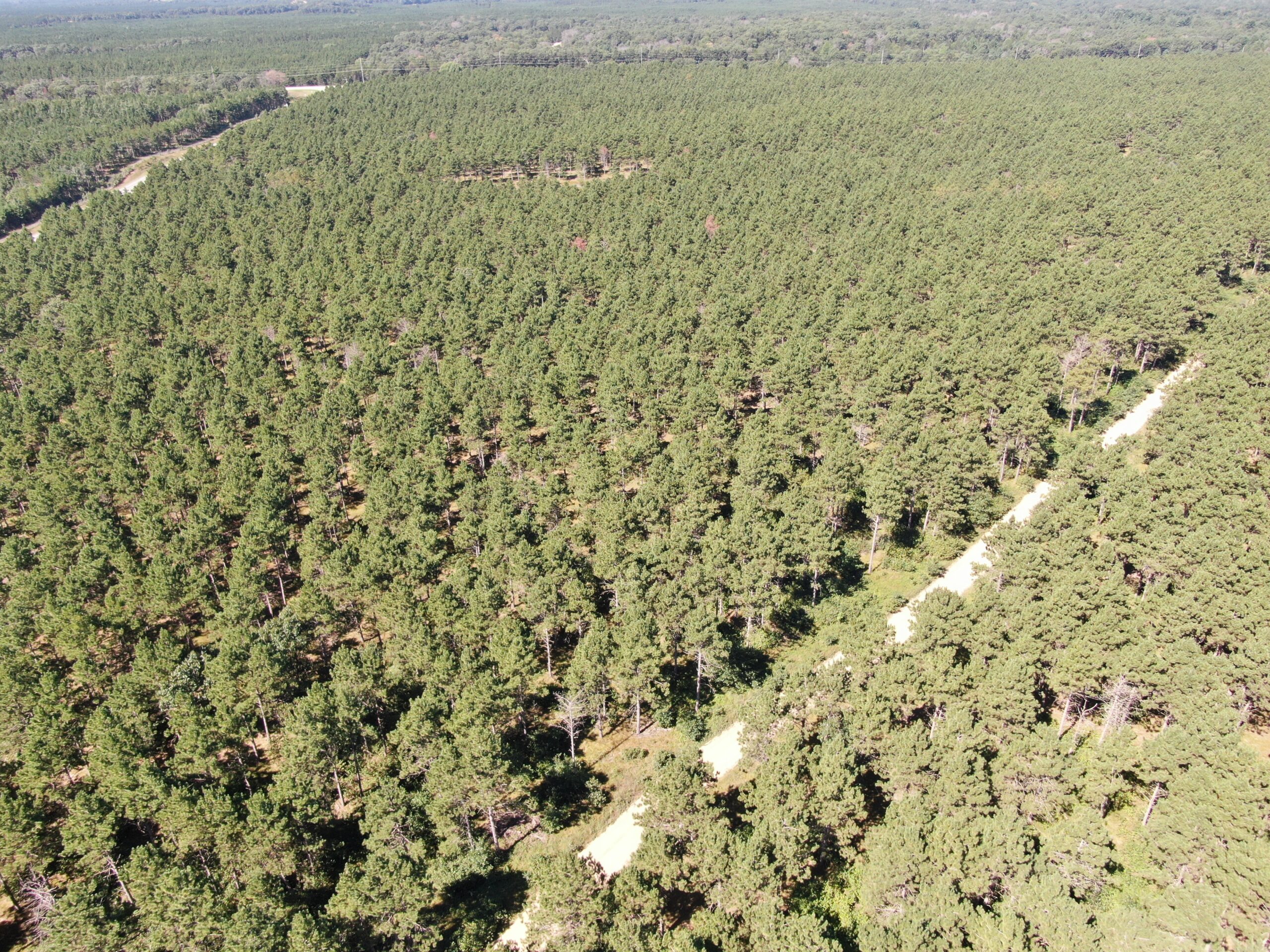 40-acre wooded parcel in the Town of Rome