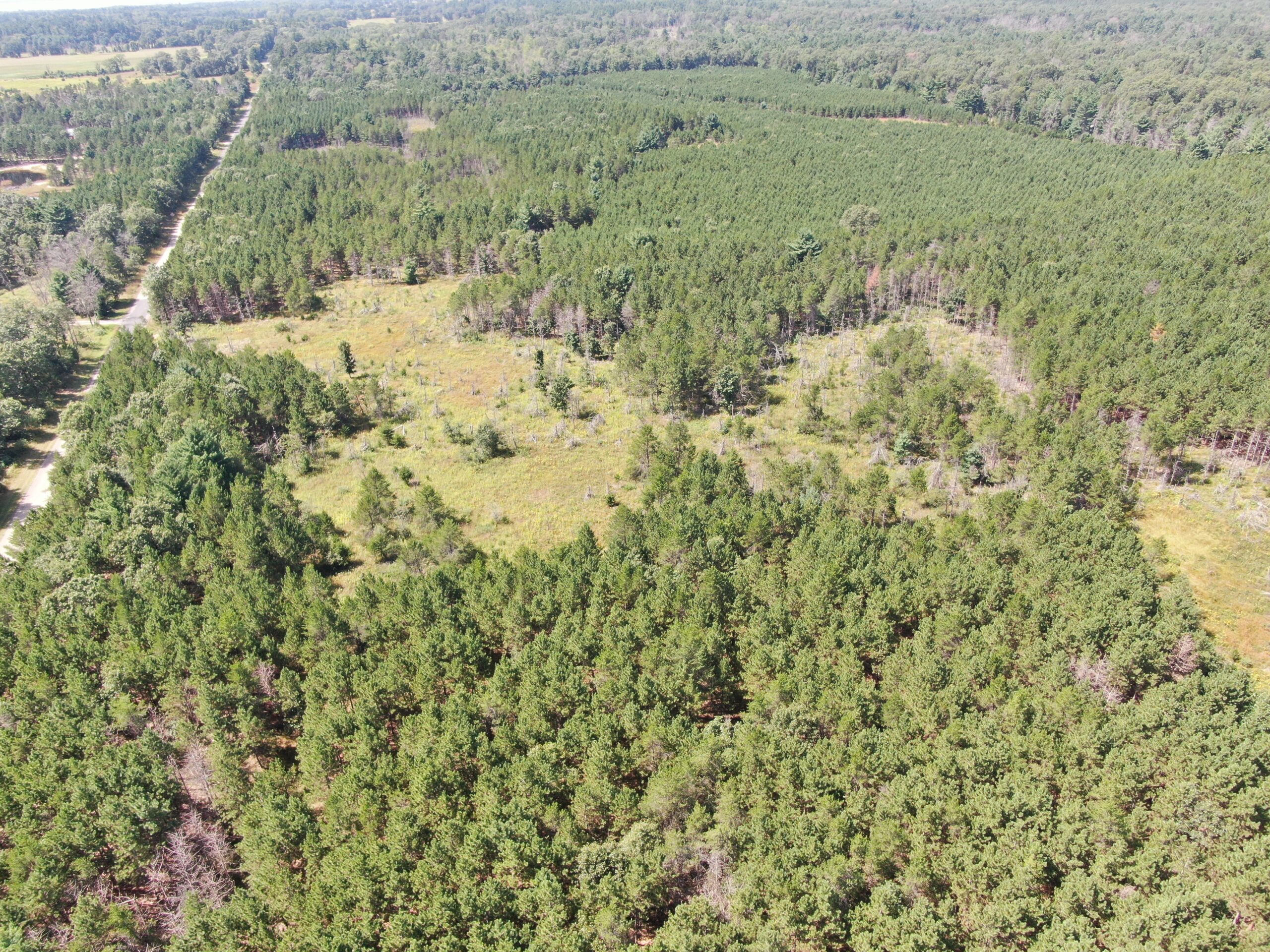 40 acres of recreational land in the Town of Monroe, Adams County