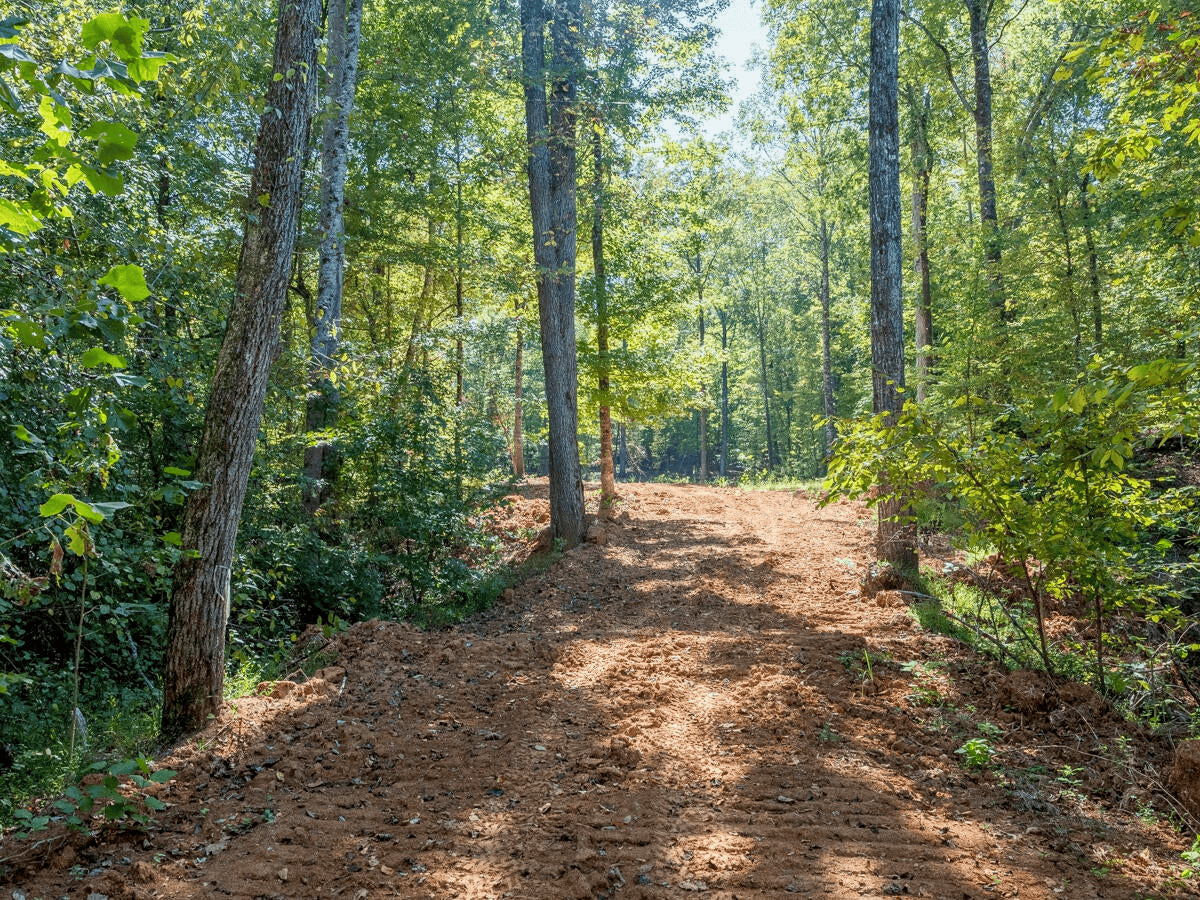 650 Acres Timberland and Lake Site Calhoun County MS