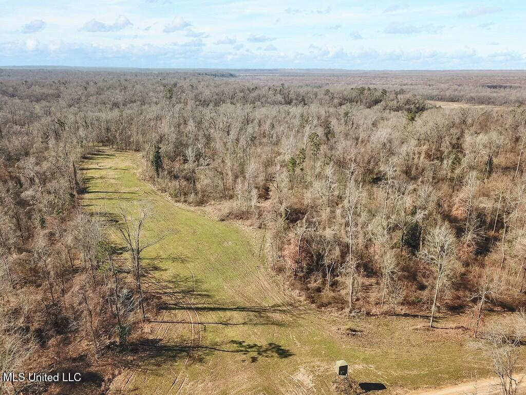 Southside Land Share for Sale in Jefferson County, MS