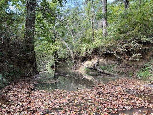 Mississippi Land For Sale With A Creek