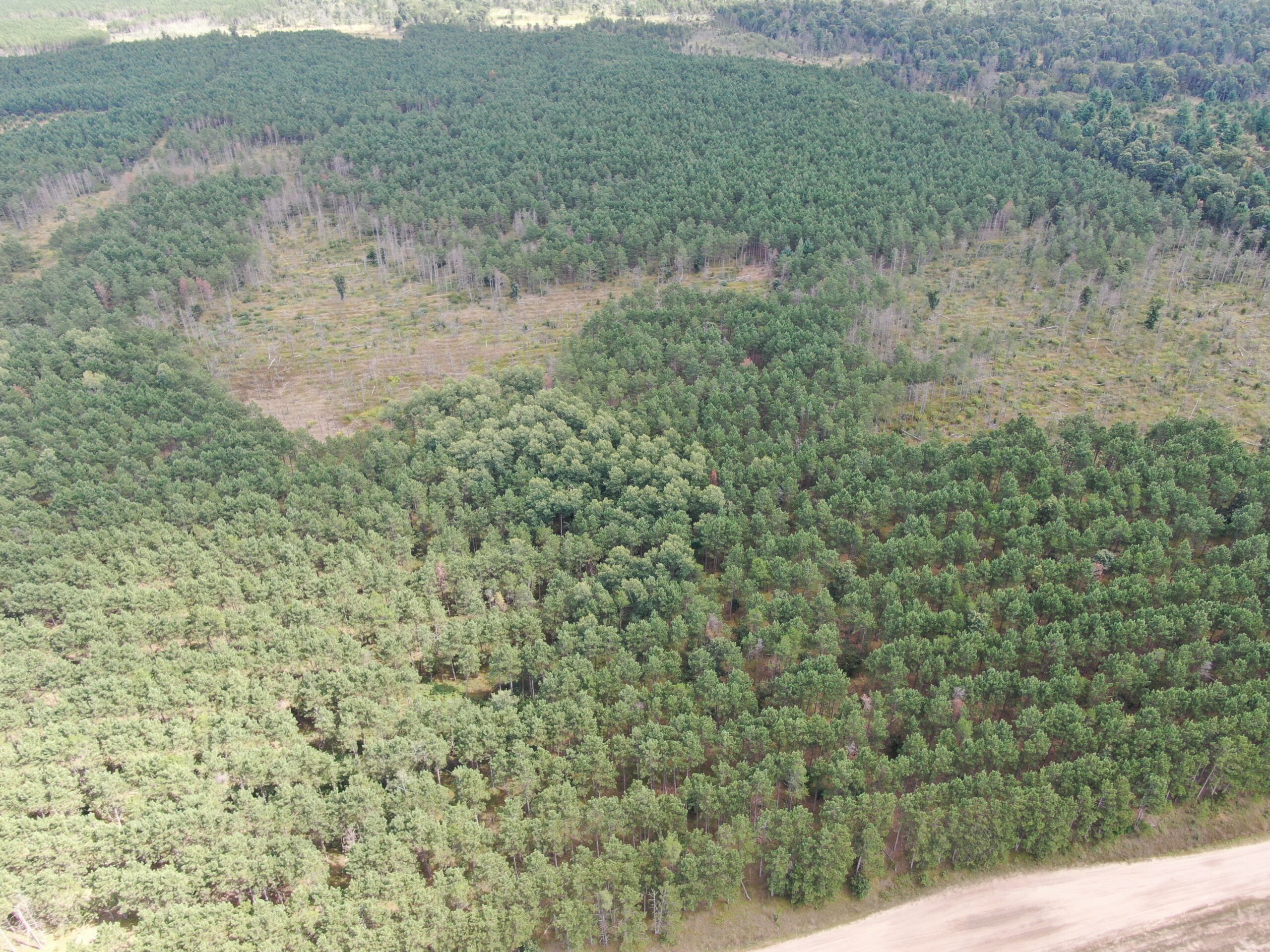 80-acre timber tract in Adams County
